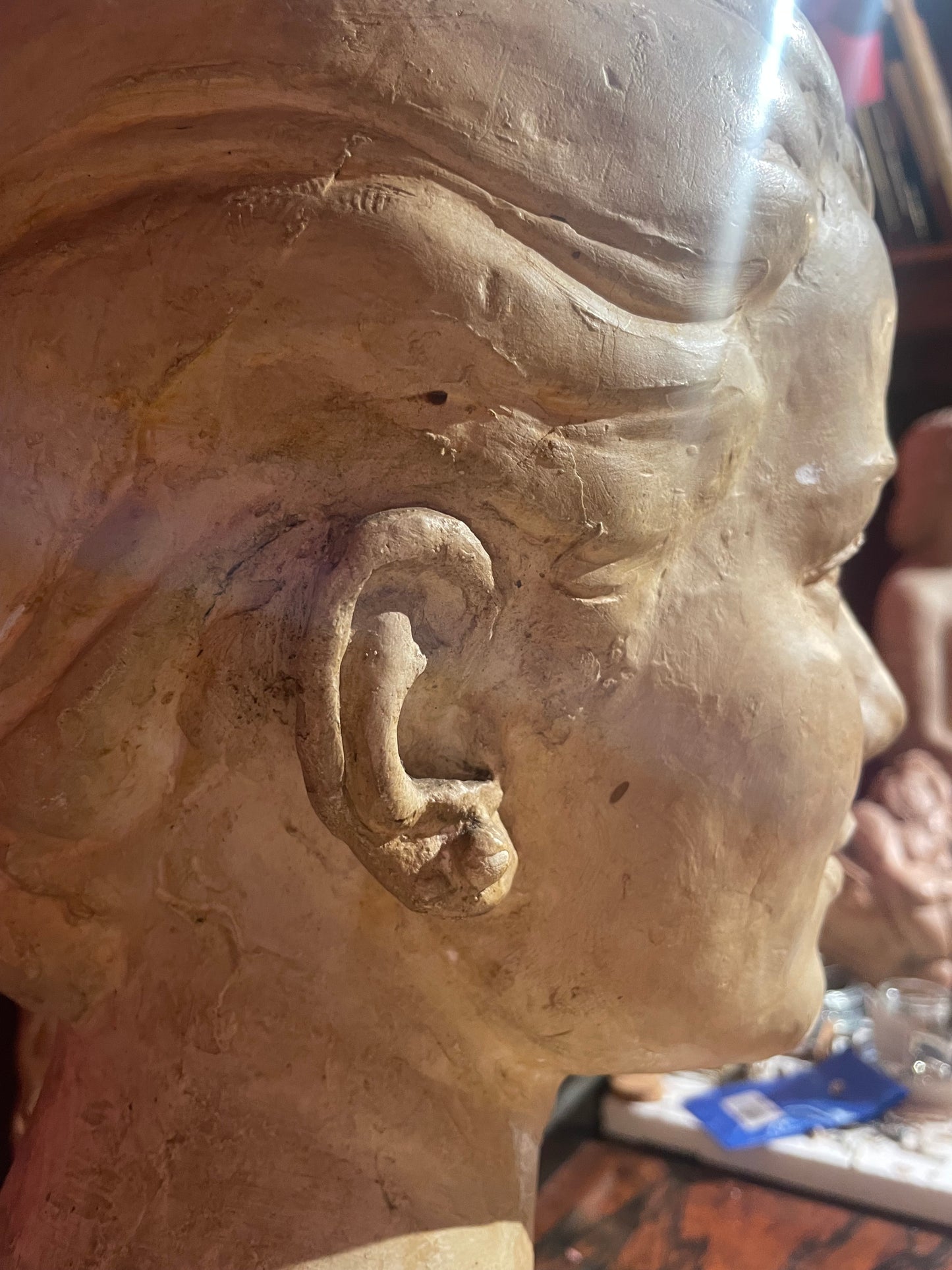 Busto In Gesso Di Grace Kelly, Louis Botinelly, Marsiglia, Art Déco, 1957
