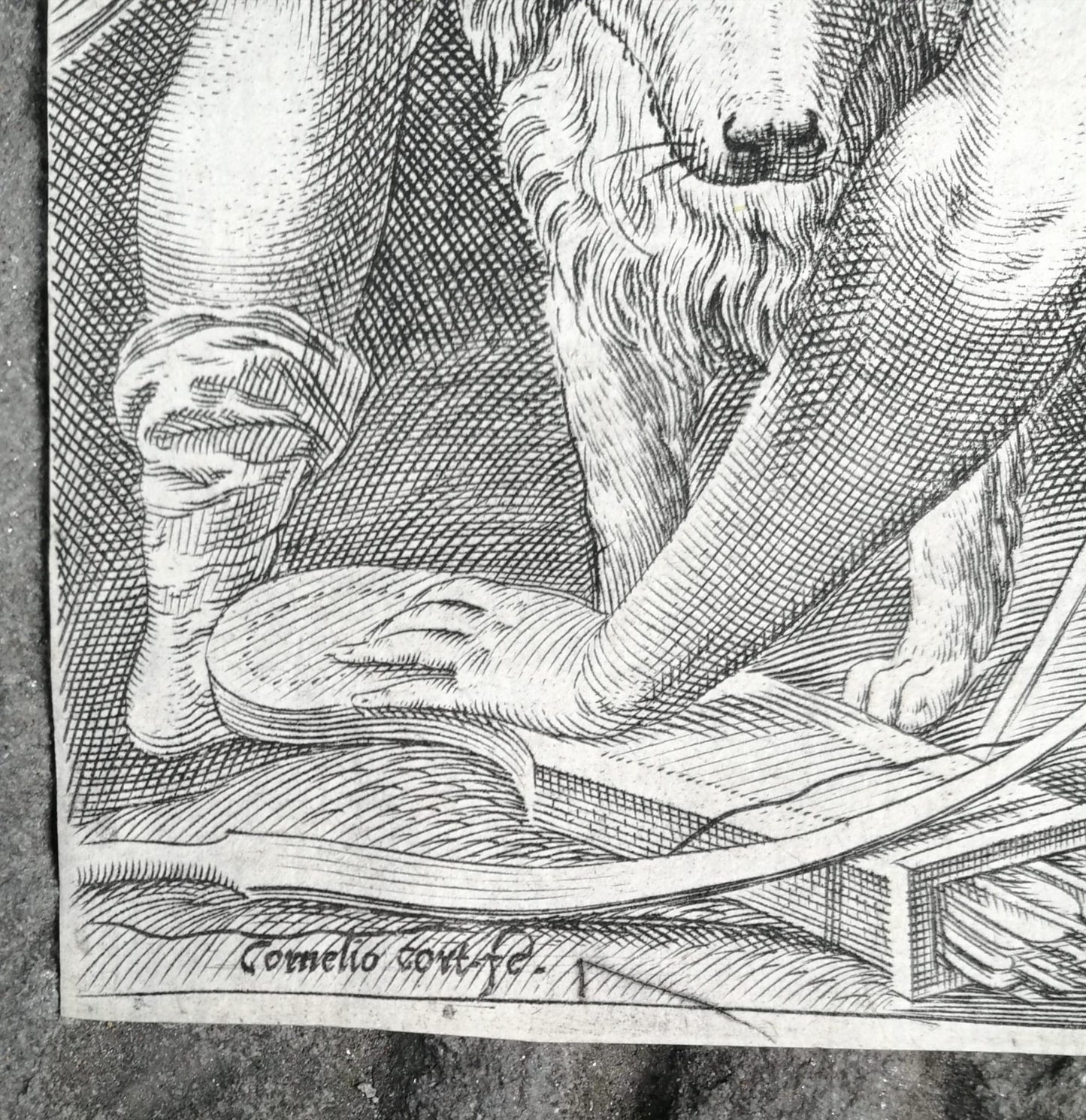 Cornelis Cort (1533–1578) – Diana and Callisto, engraving after Titian, Venice 1566, second state