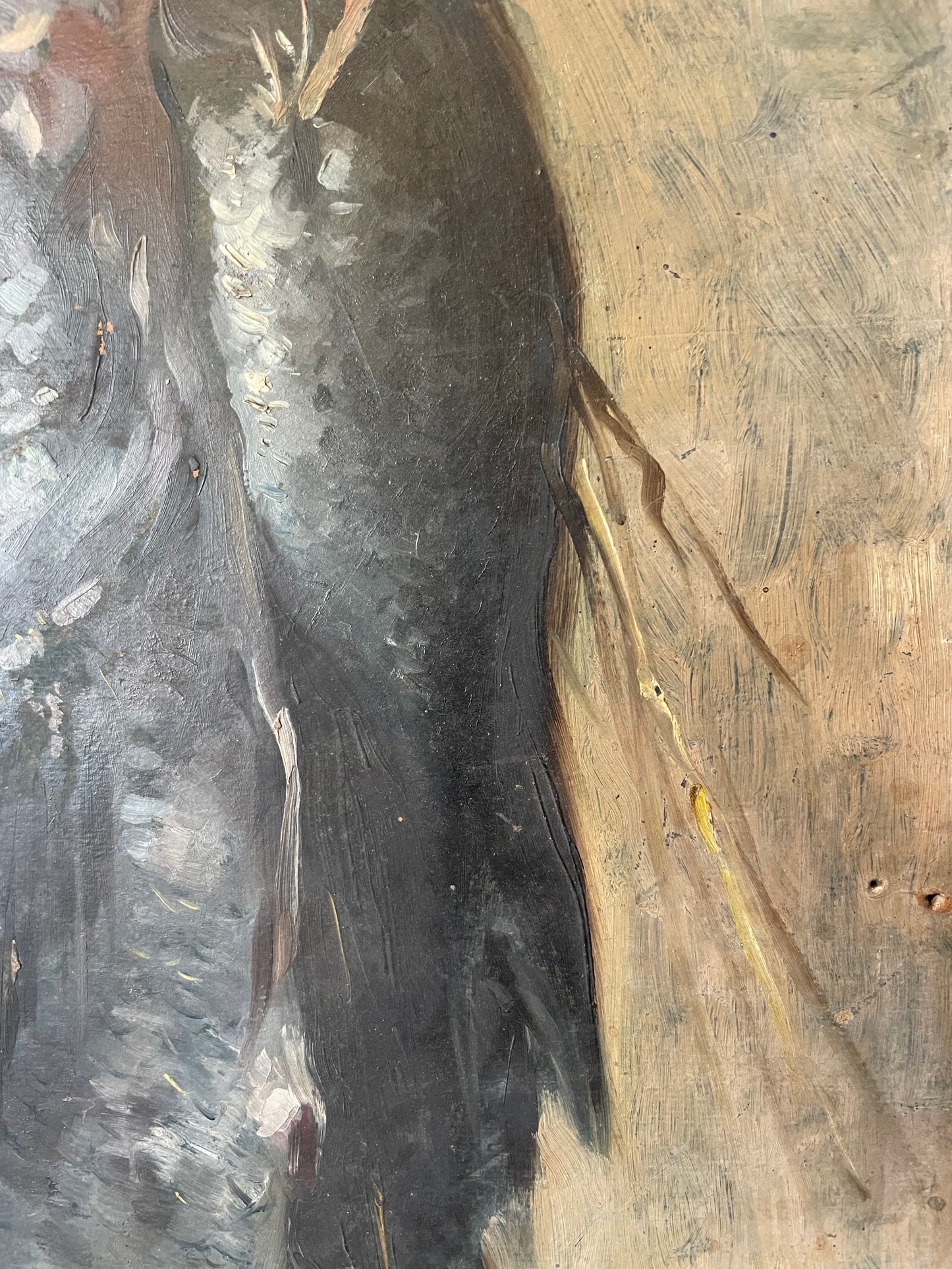 Sketch of freshly caught fish hanging from a string
Oil on cardboard, 34 x 47 cm