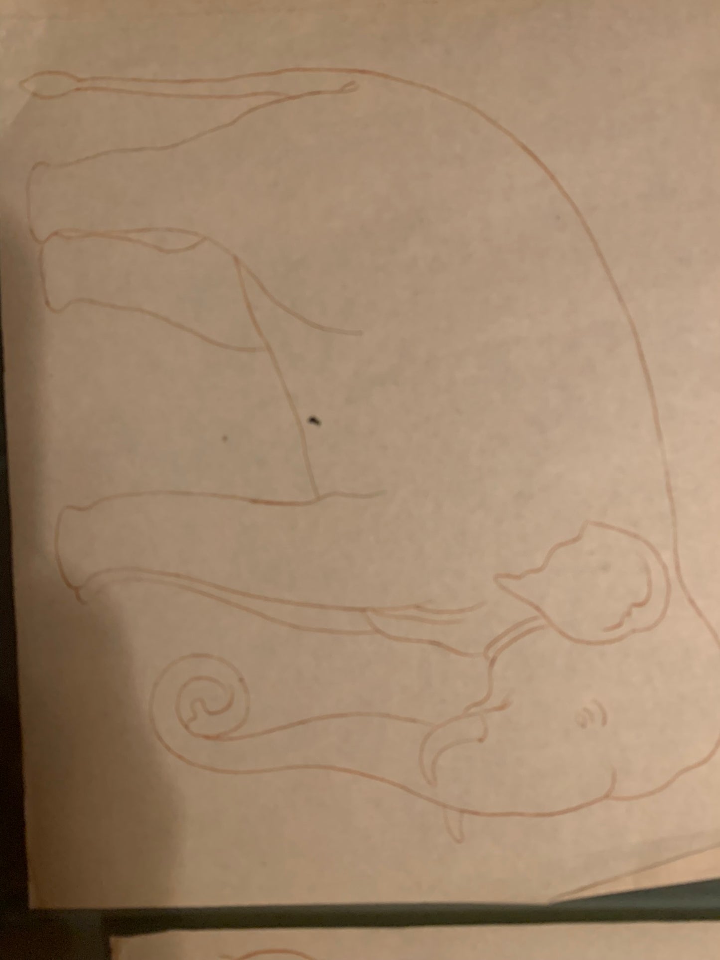 Drawings with Hindu and Buddhist Sri Lankan deities from Anuradhapura and Poḷonnaruwa.