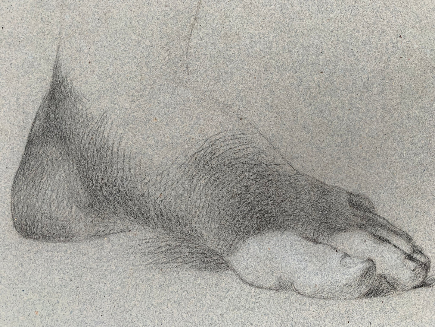 19th century Italian school drawing. Academic study of the figure of the young naked man.