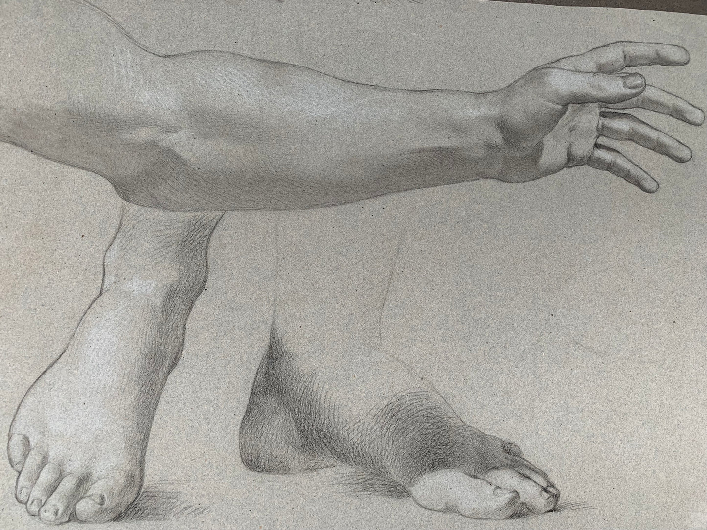 19th century Italian school drawing. Academic study of the figure of the young naked man.