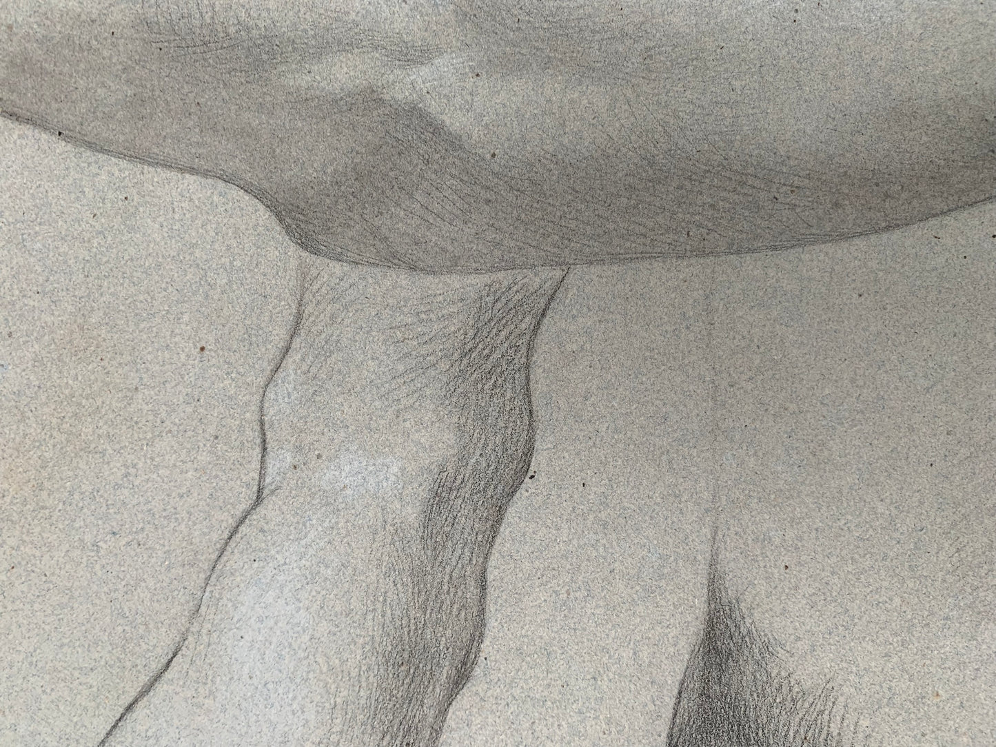 19th century Italian school drawing. Academic study of the figure of the young naked man.
