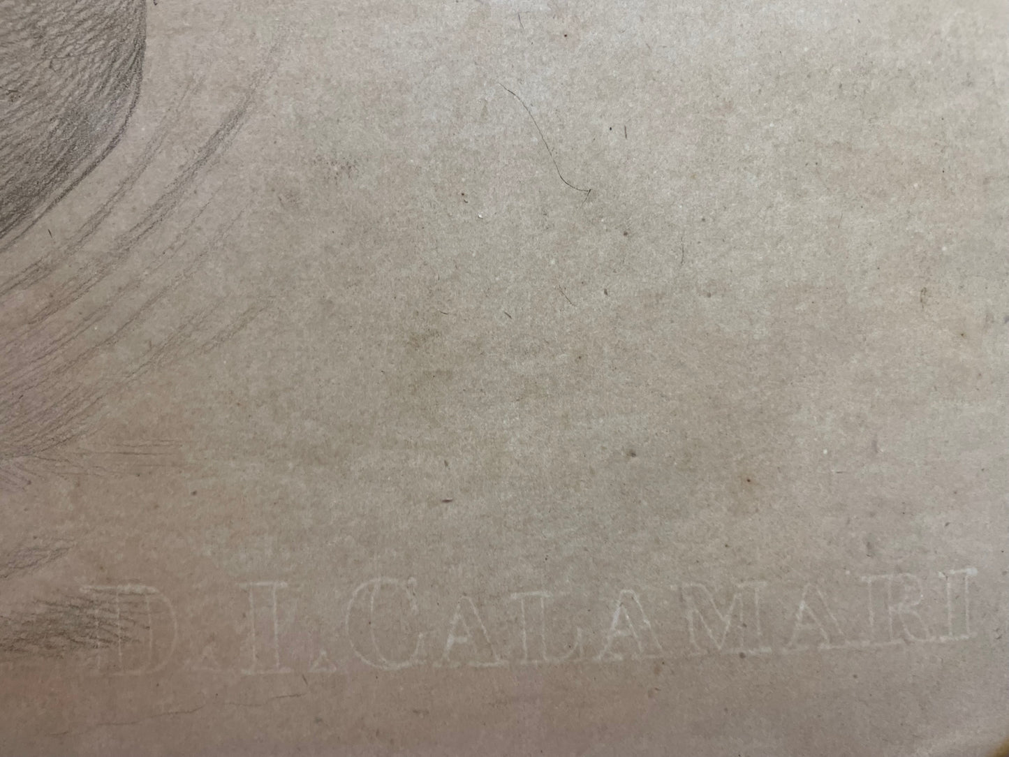 Academic Study of a Horse’s Head, 59 × 43 cm