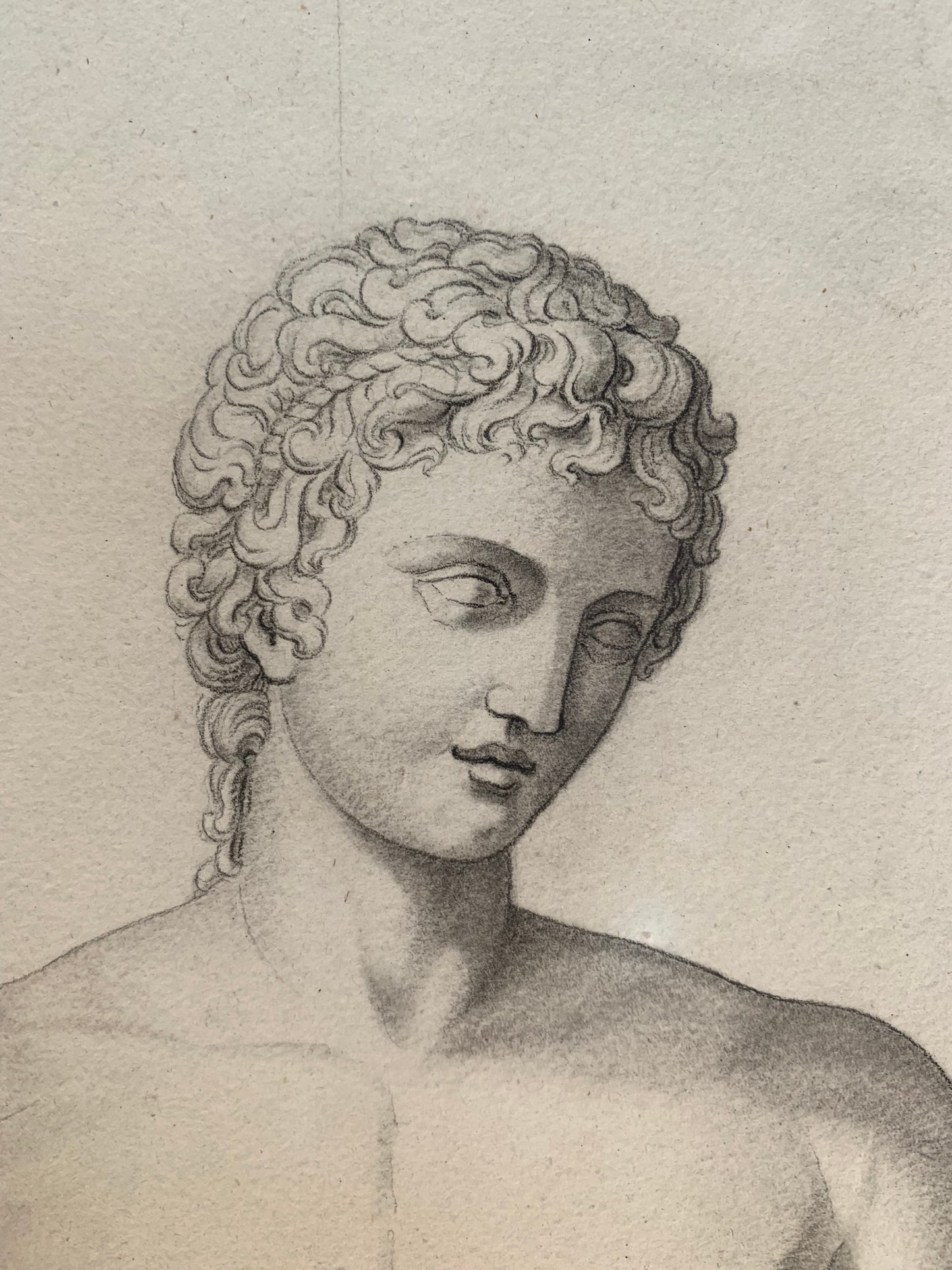 Italian Academic Drawing of the 19th Century: Adonis of the Vatican