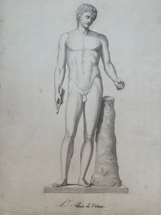 Italian Academic Drawing of the 19th Century: Adonis of the Vatican