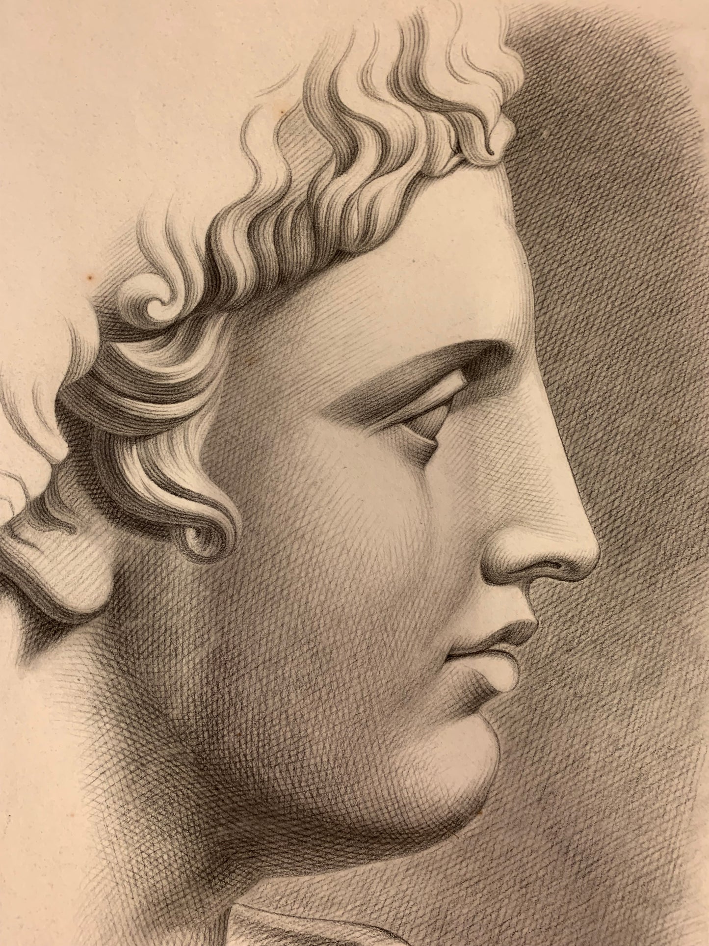 Apollo of Belvedere. Academic Drawing. Italian. XIX century.