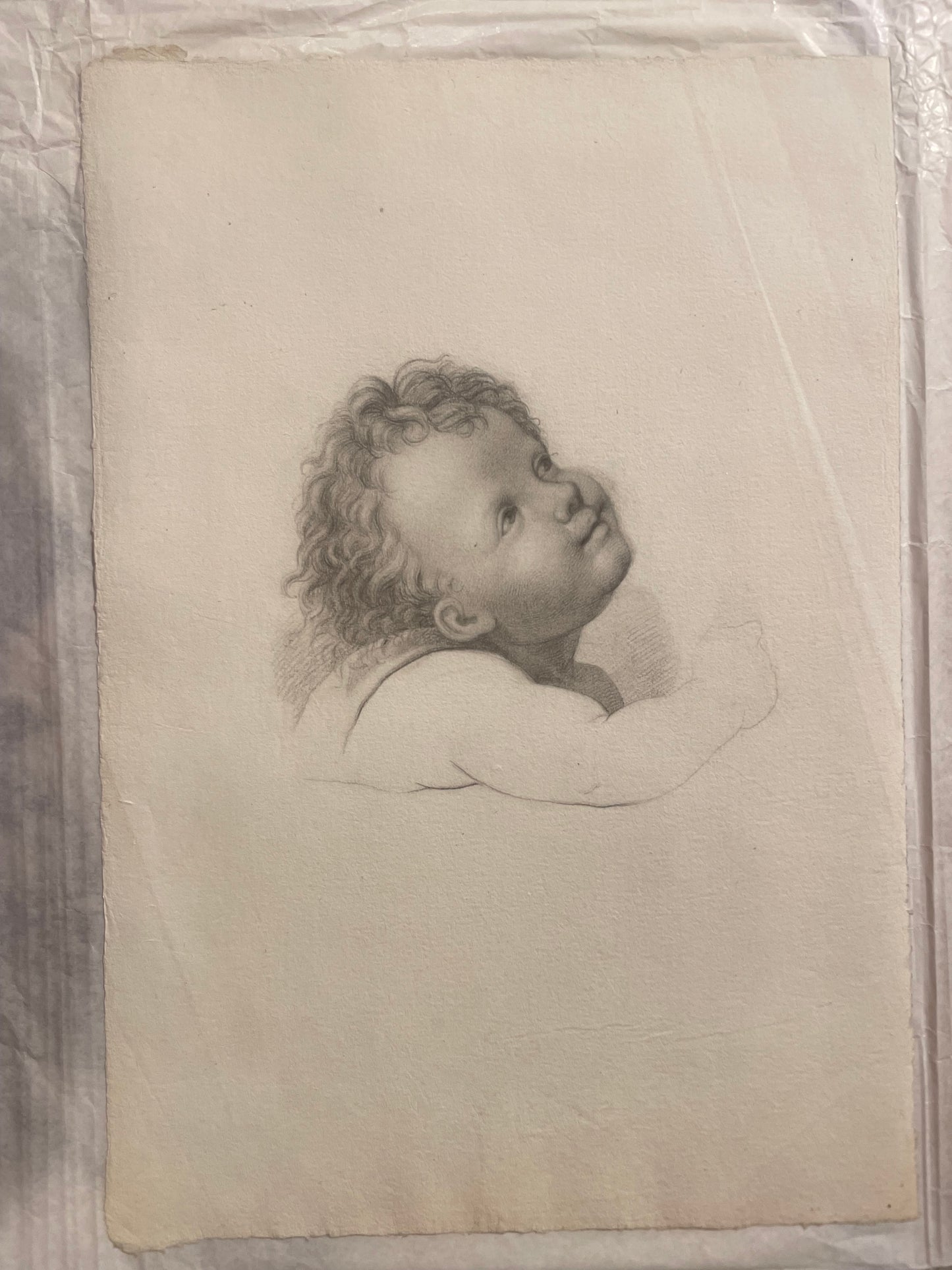 La testa di un angioletto, studio accademico. 
Scuola fiorentina, fine XVIII – inizio XIX secolo.