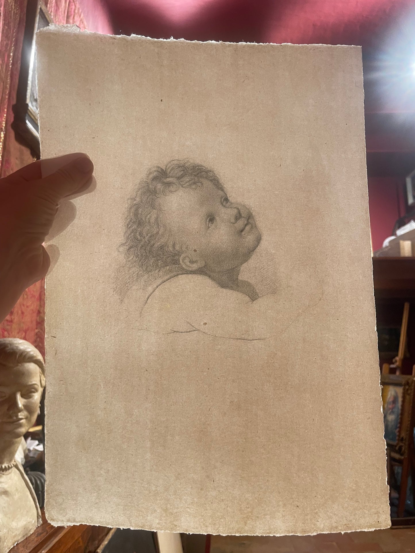 La testa di un angioletto, studio accademico. 
Scuola fiorentina, fine XVIII – inizio XIX secolo.