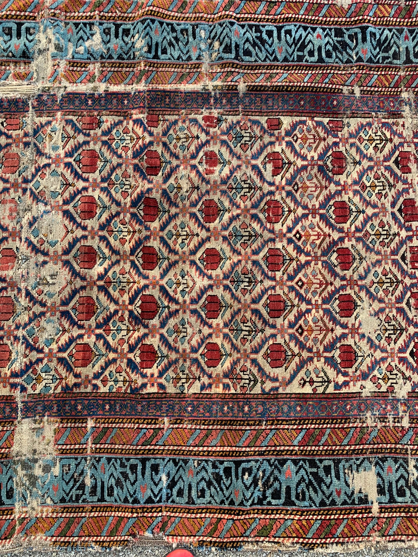 Shirvan. Mid 19th Century. Caucasian Carpet With Beautiful Border. To Be Restored.