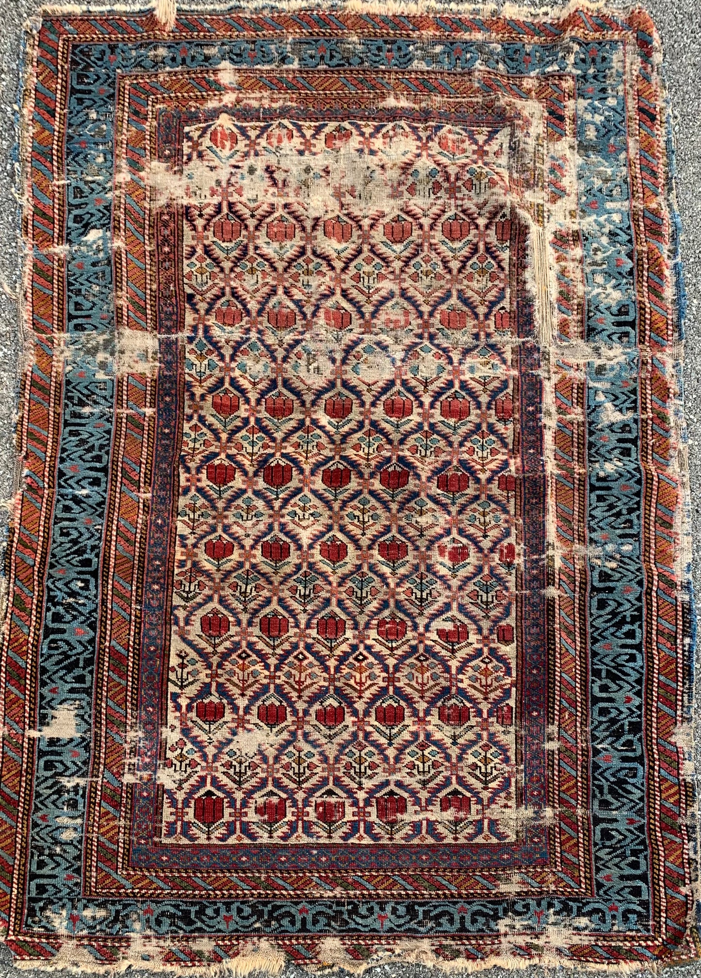 Shirvan. Mid 19th Century. Caucasian Carpet With Beautiful Border. To Be Restored.