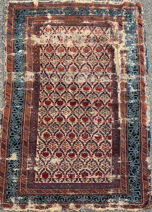 Shirvan. Mid 19th Century. Caucasian Carpet With Beautiful Border. To Be Restored.