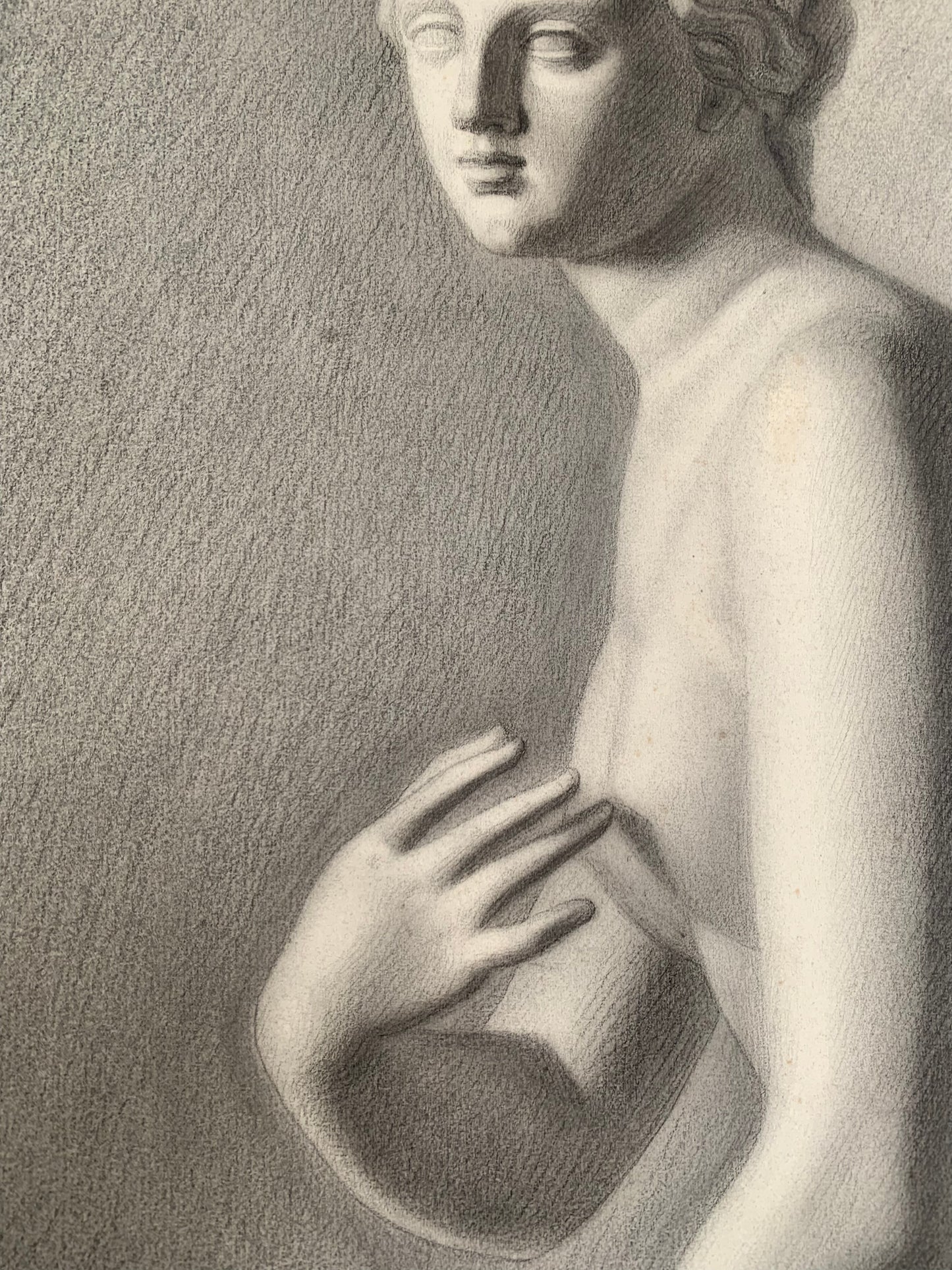 Venus of Medici. Italian Academic Drawing. XIX century