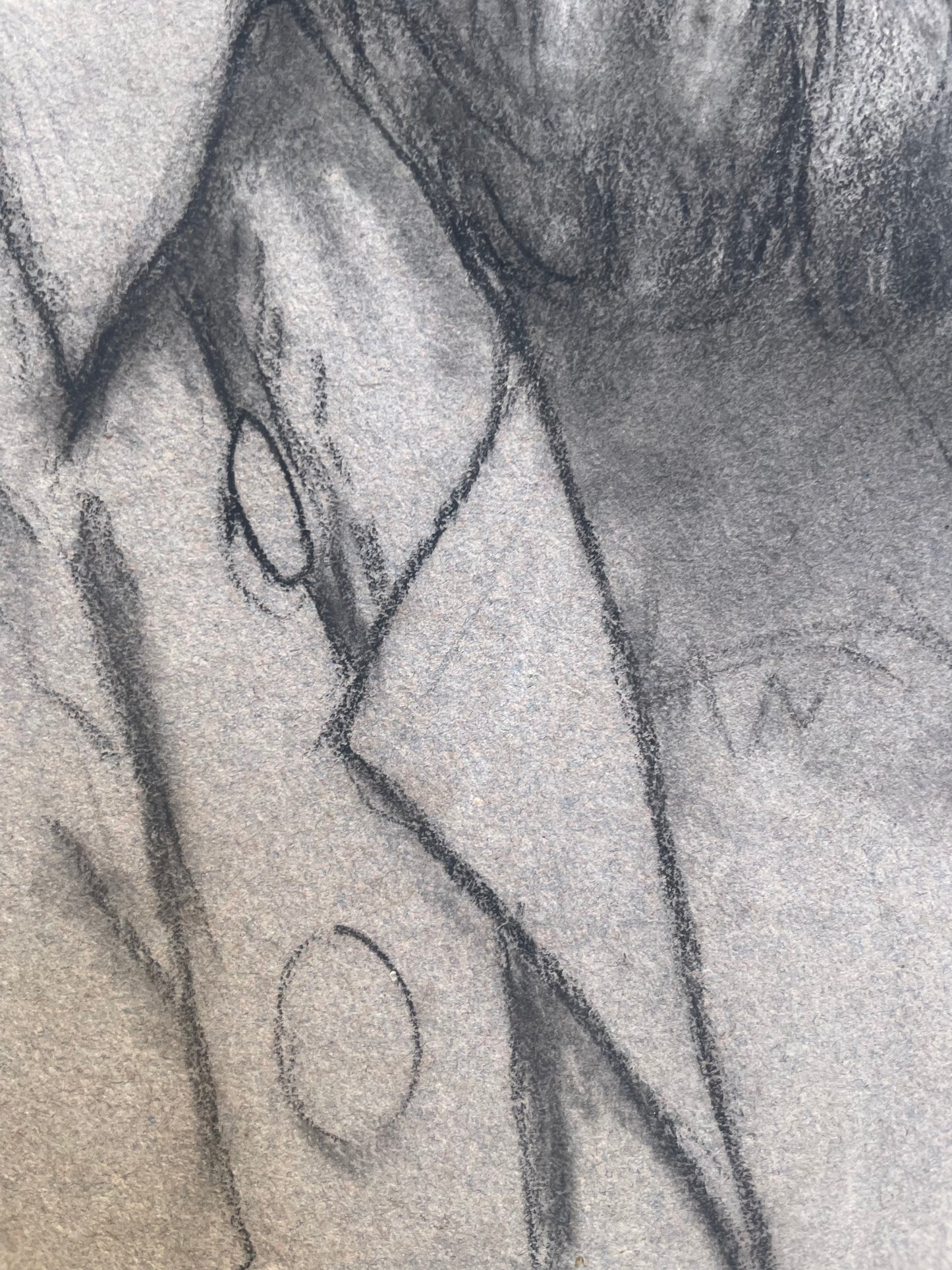 Ritratto di un uomo con la barba di epoca Risorgimentale, metà del XIX secolo.