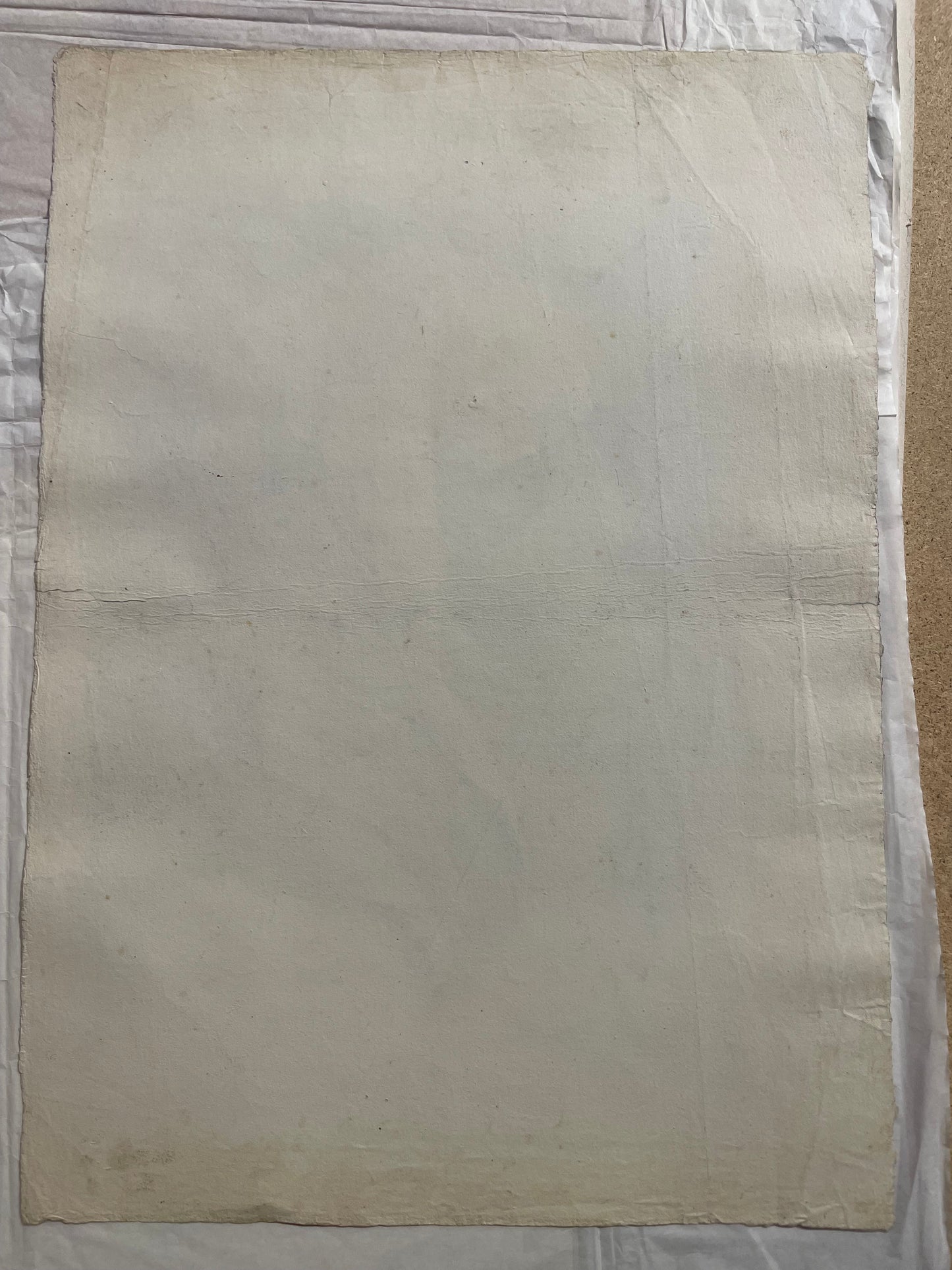 Studio accademico di testa di monaca. Scuola fiorentina, fine XVIII – inizio XIX secolo.