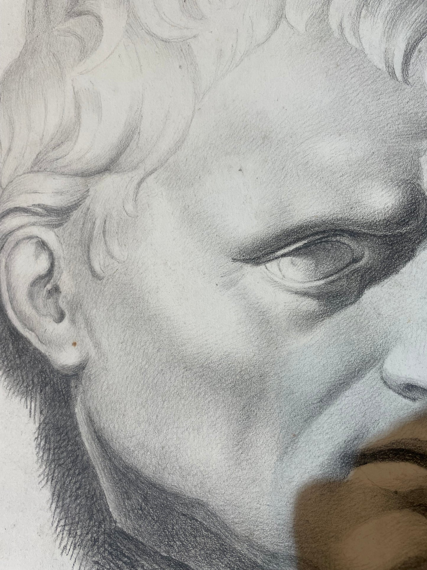 Academic Study of the Roman Bust, Tuscan School, 44 × 34 cm