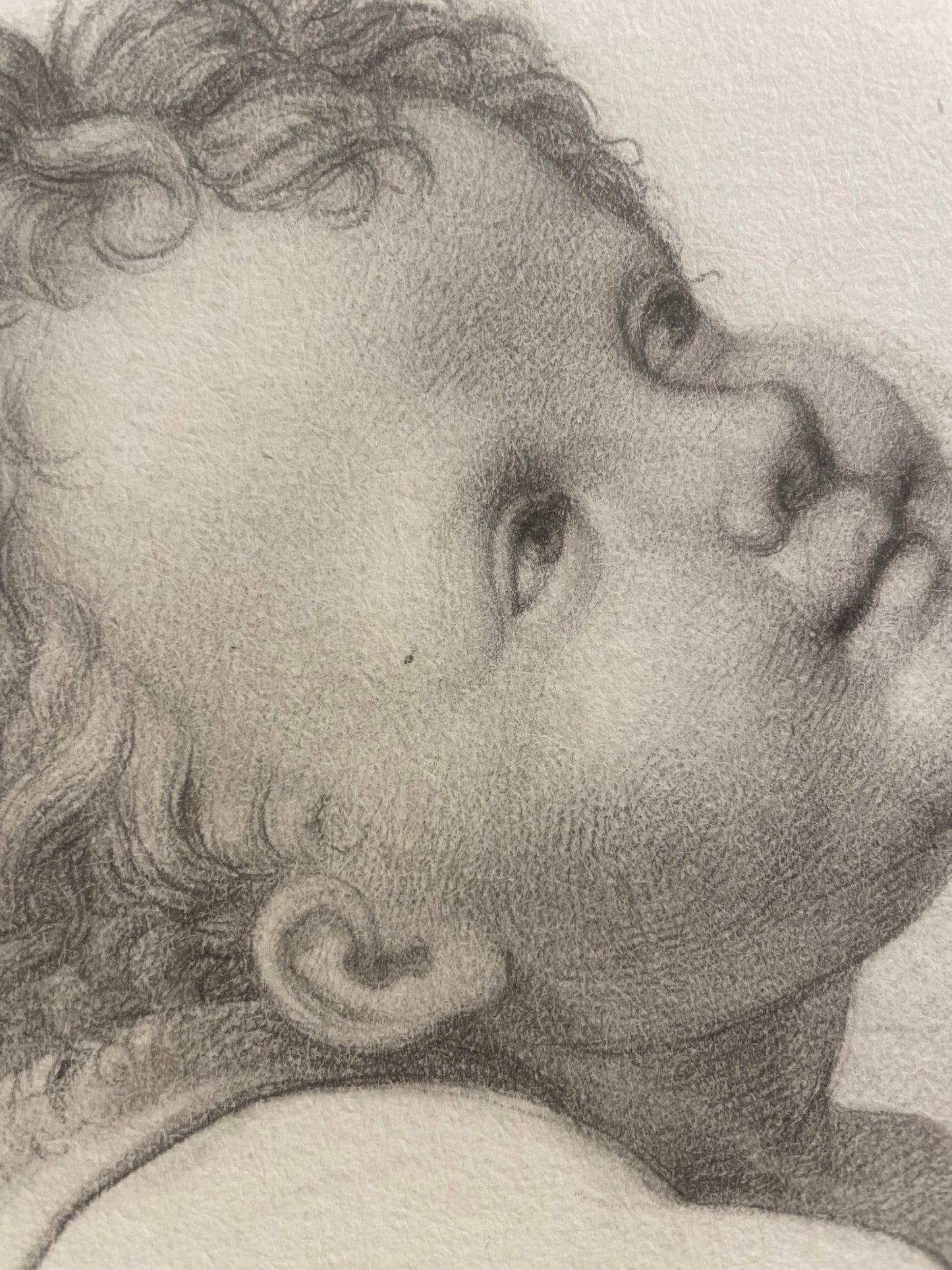 La testa di un angioletto, studio accademico. 
Scuola fiorentina, fine XVIII – inizio XIX secolo.