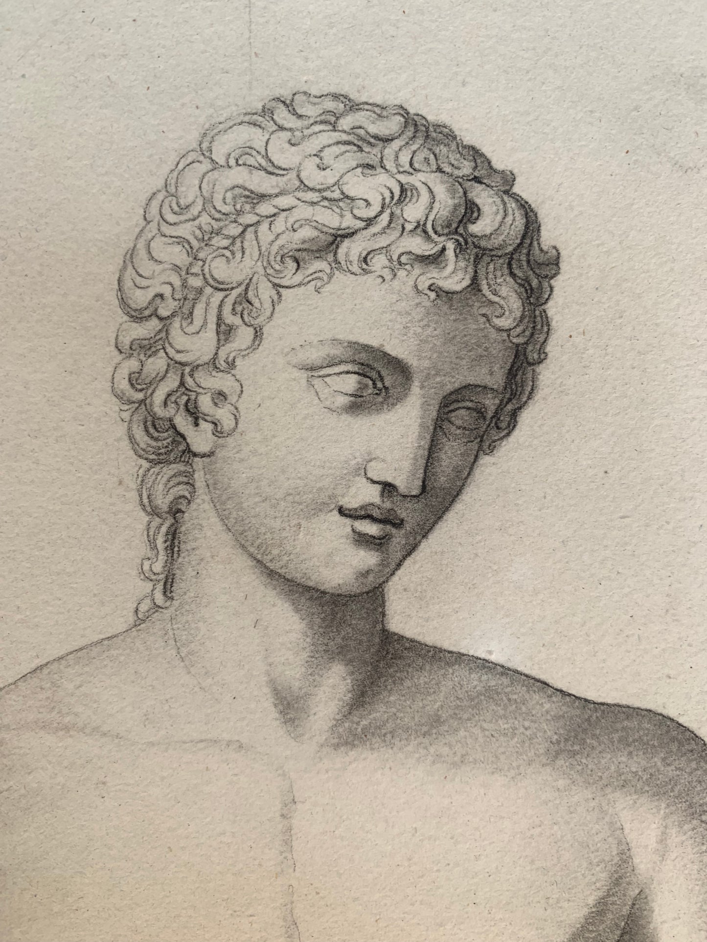 Italian Academic Drawing of the 19th Century: Adonis of the Vatican