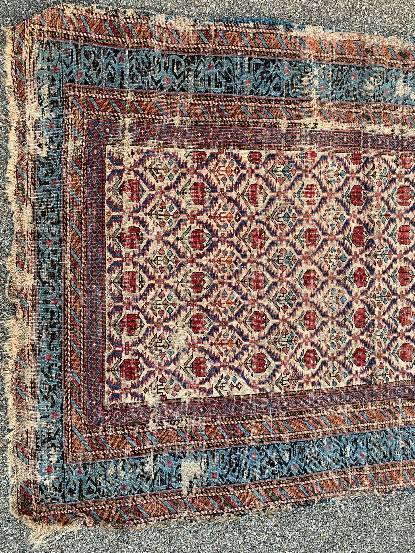 Shirvan. Mid 19th Century. Caucasian Carpet With Beautiful Border. To Be Restored.