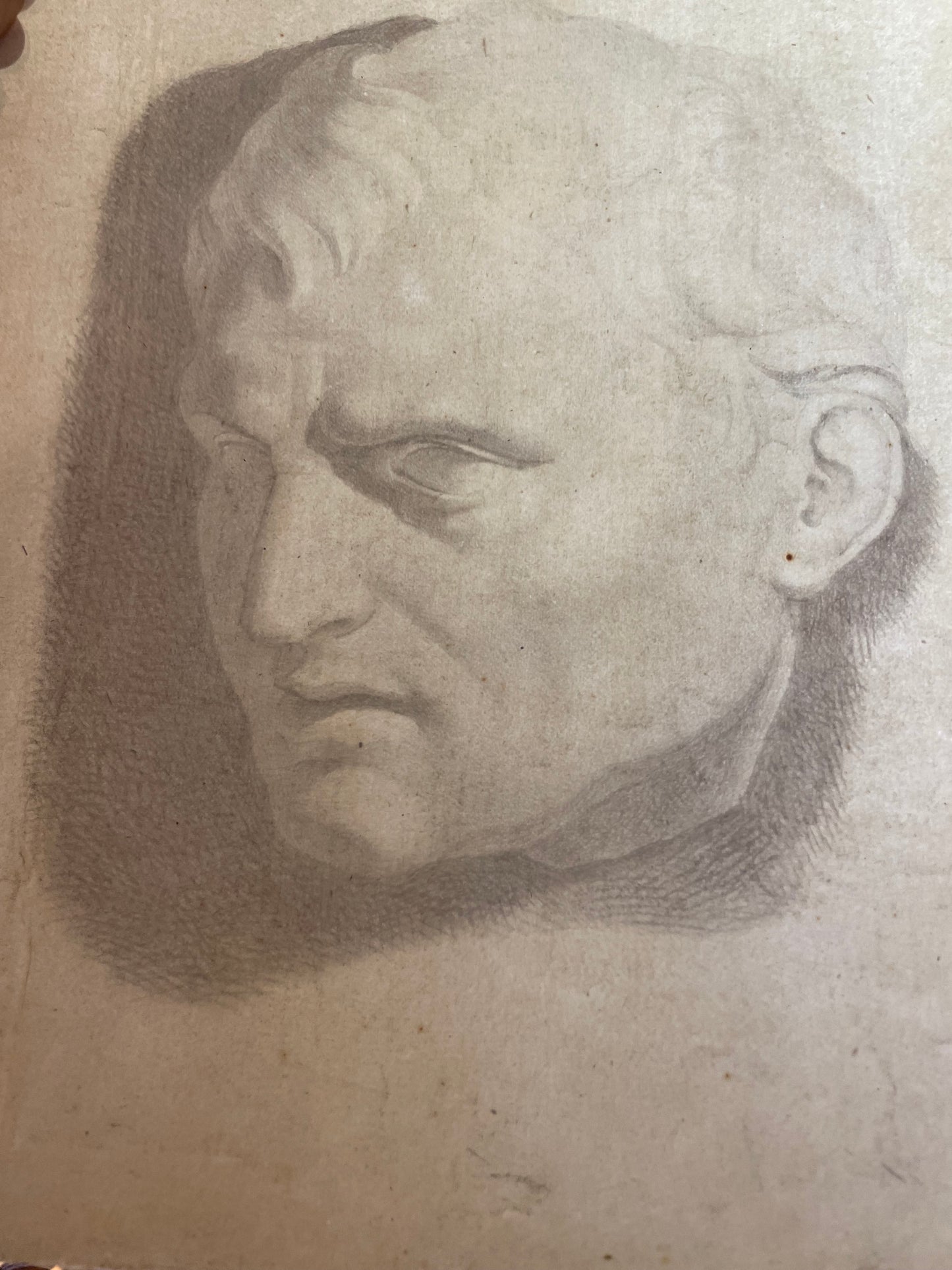 Academic Study of the Roman Bust, Tuscan School, 44 × 34 cm