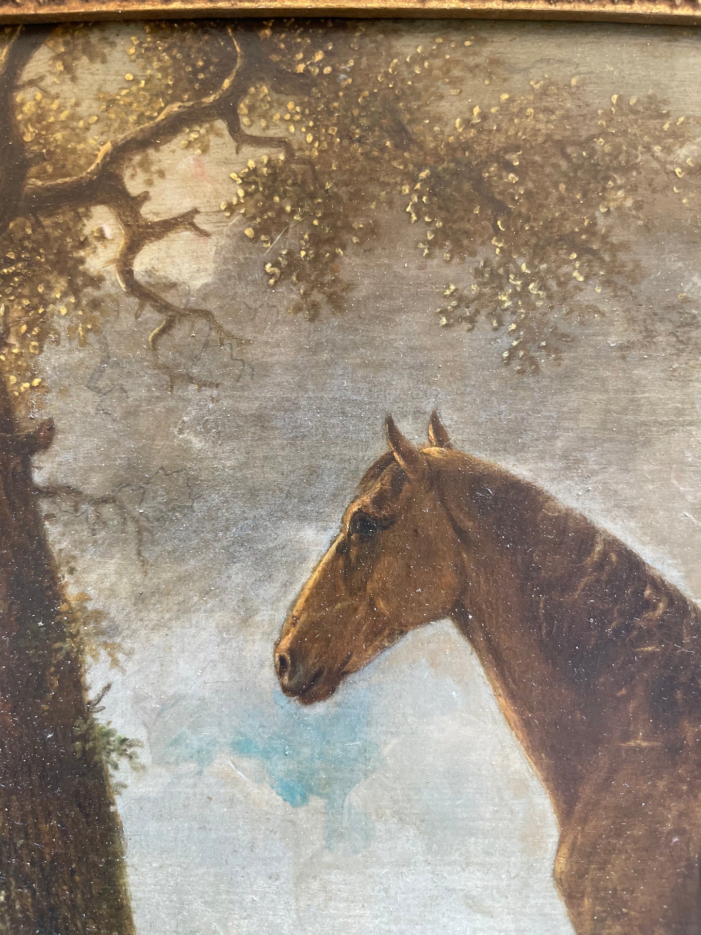 Cavallo bruno davanti a un villaggio, scuola olandese del XVIII secolo