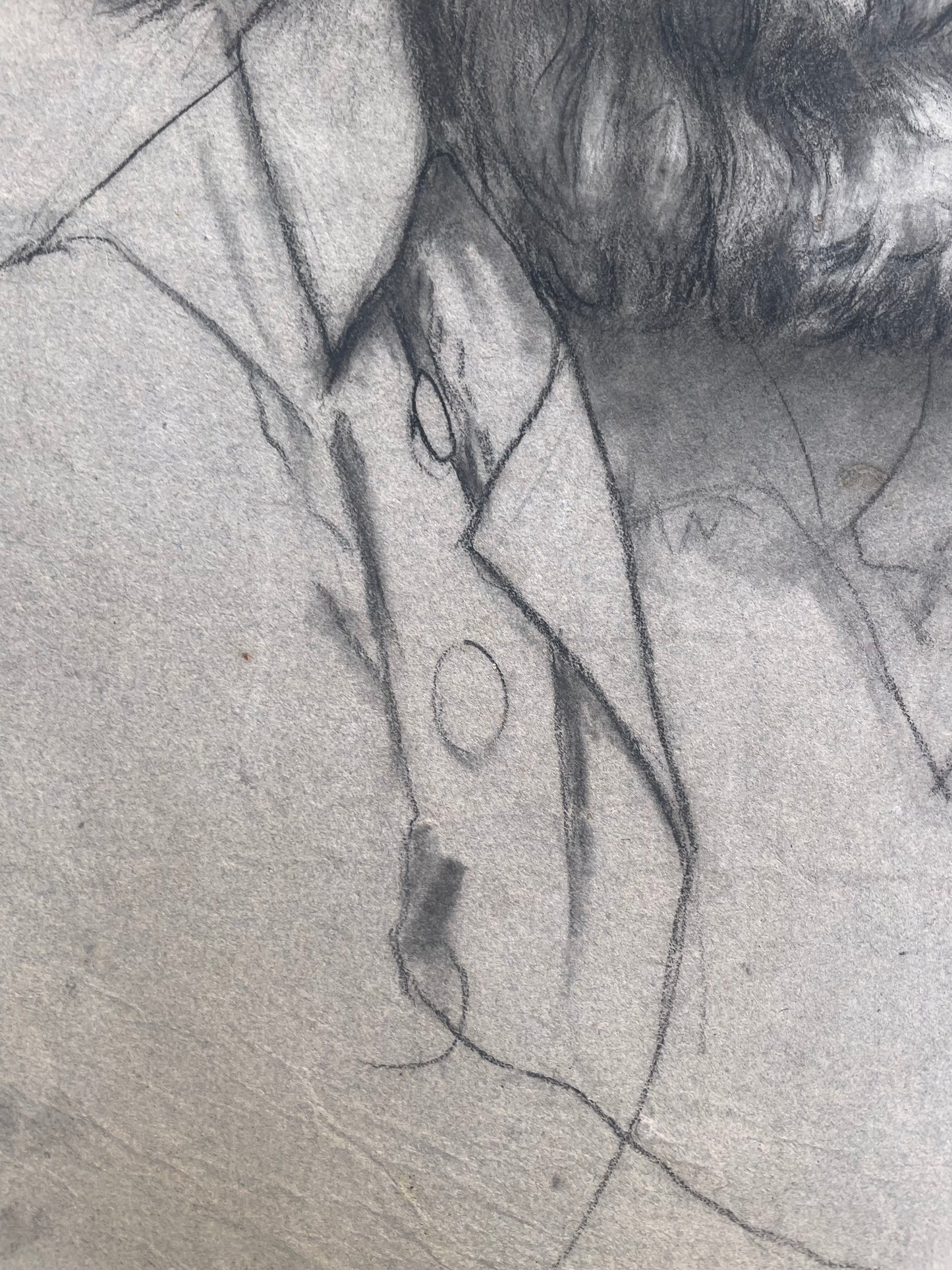 Ritratto di un uomo con la barba di epoca Risorgimentale, metà del XIX secolo.