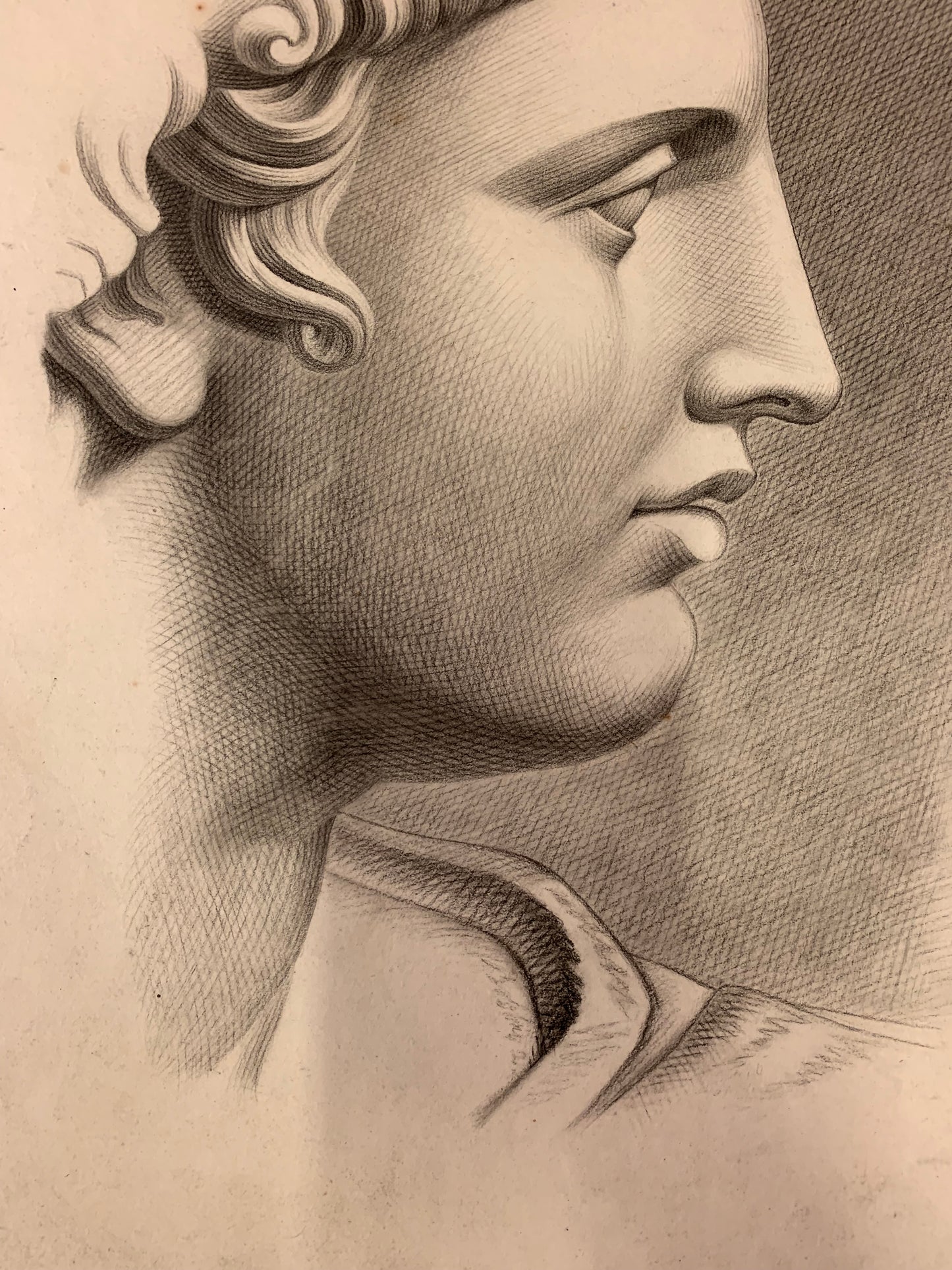 Apollo of Belvedere. Academic Drawing. Italian. XIX century.