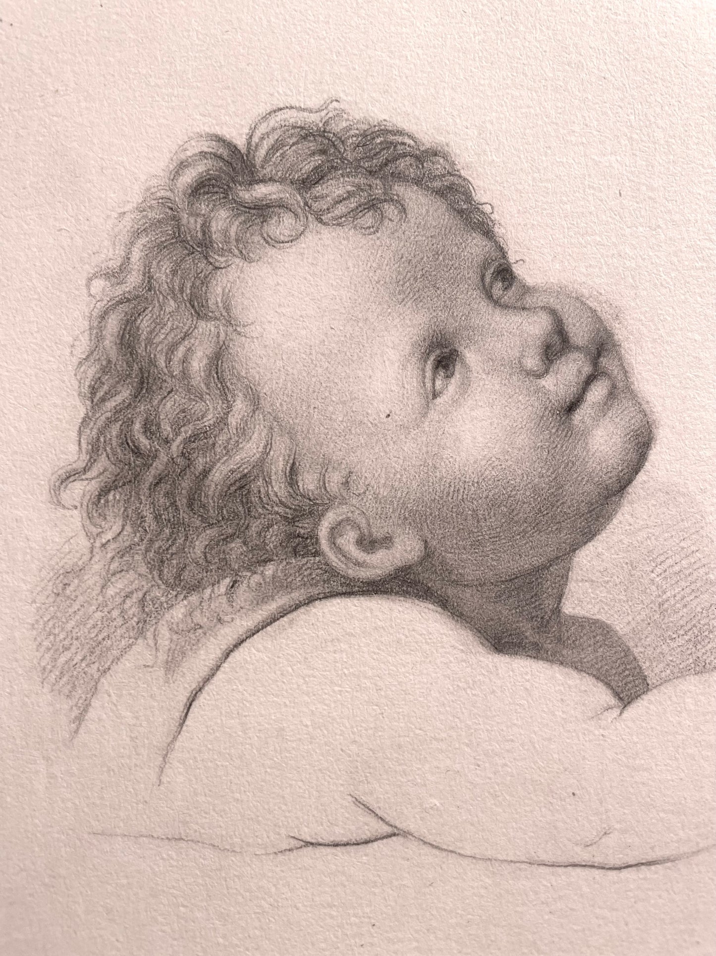 La testa di un angioletto, studio accademico. 
Scuola fiorentina, fine XVIII – inizio XIX secolo.