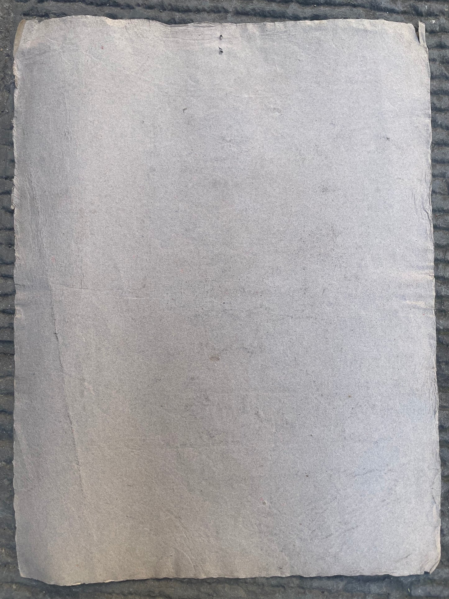 Ritratto di un uomo con la barba di epoca Risorgimentale, metà del XIX secolo.