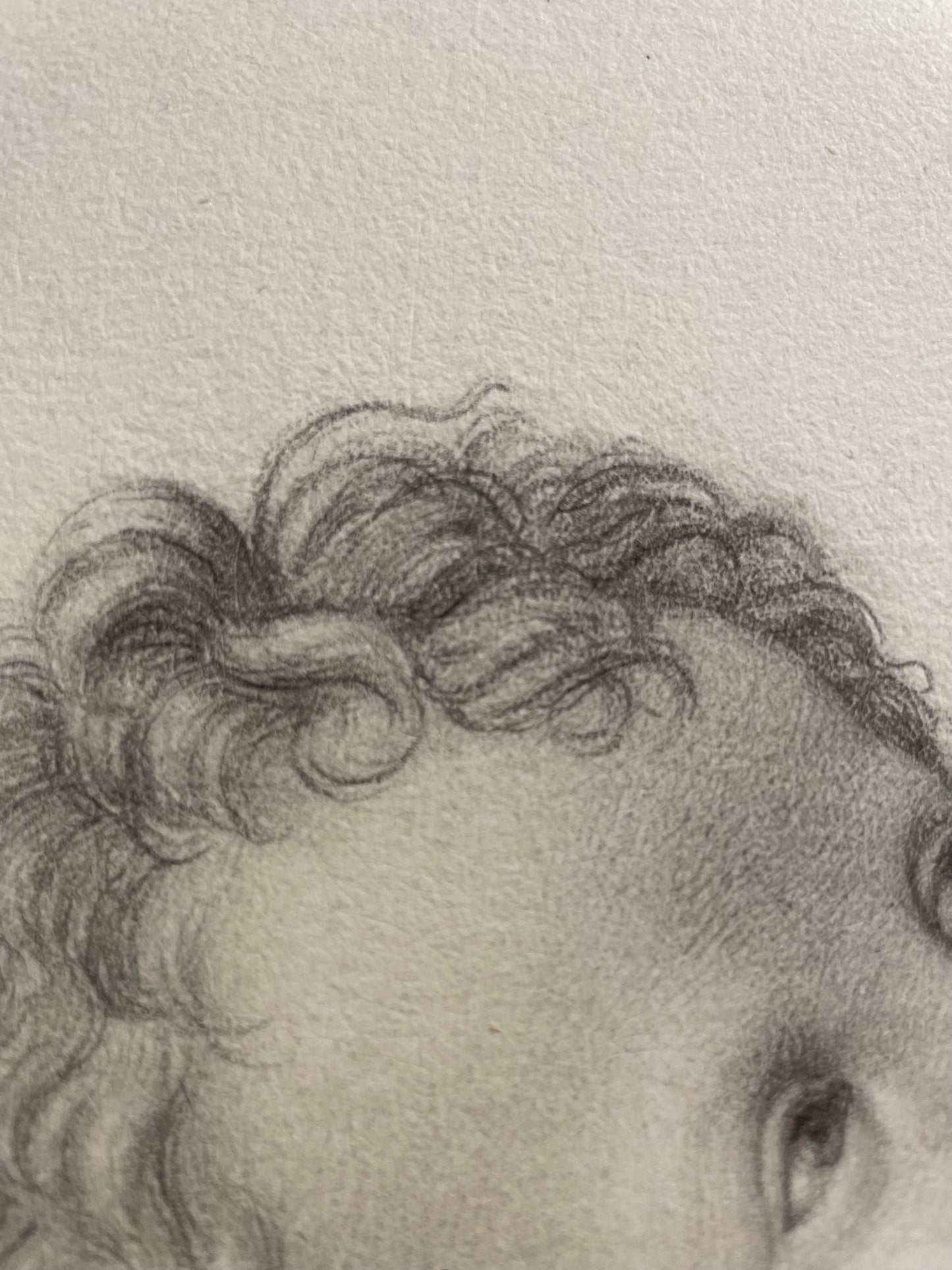 La testa di un angioletto, studio accademico. 
Scuola fiorentina, fine XVIII – inizio XIX secolo.