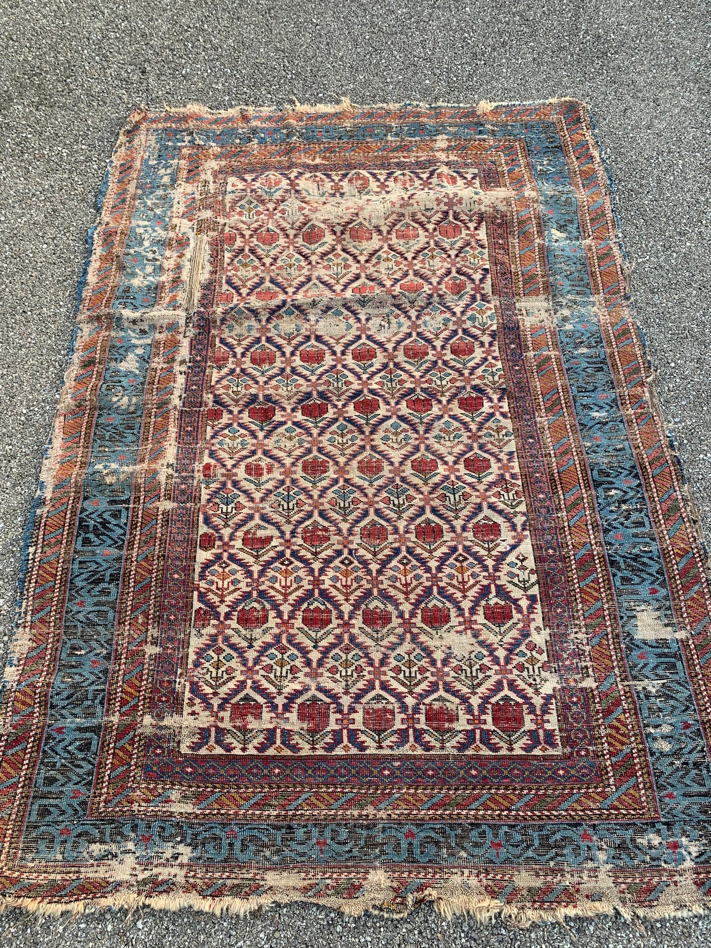 Shirvan. Mid 19th Century. Caucasian Carpet With Beautiful Border. To Be Restored.