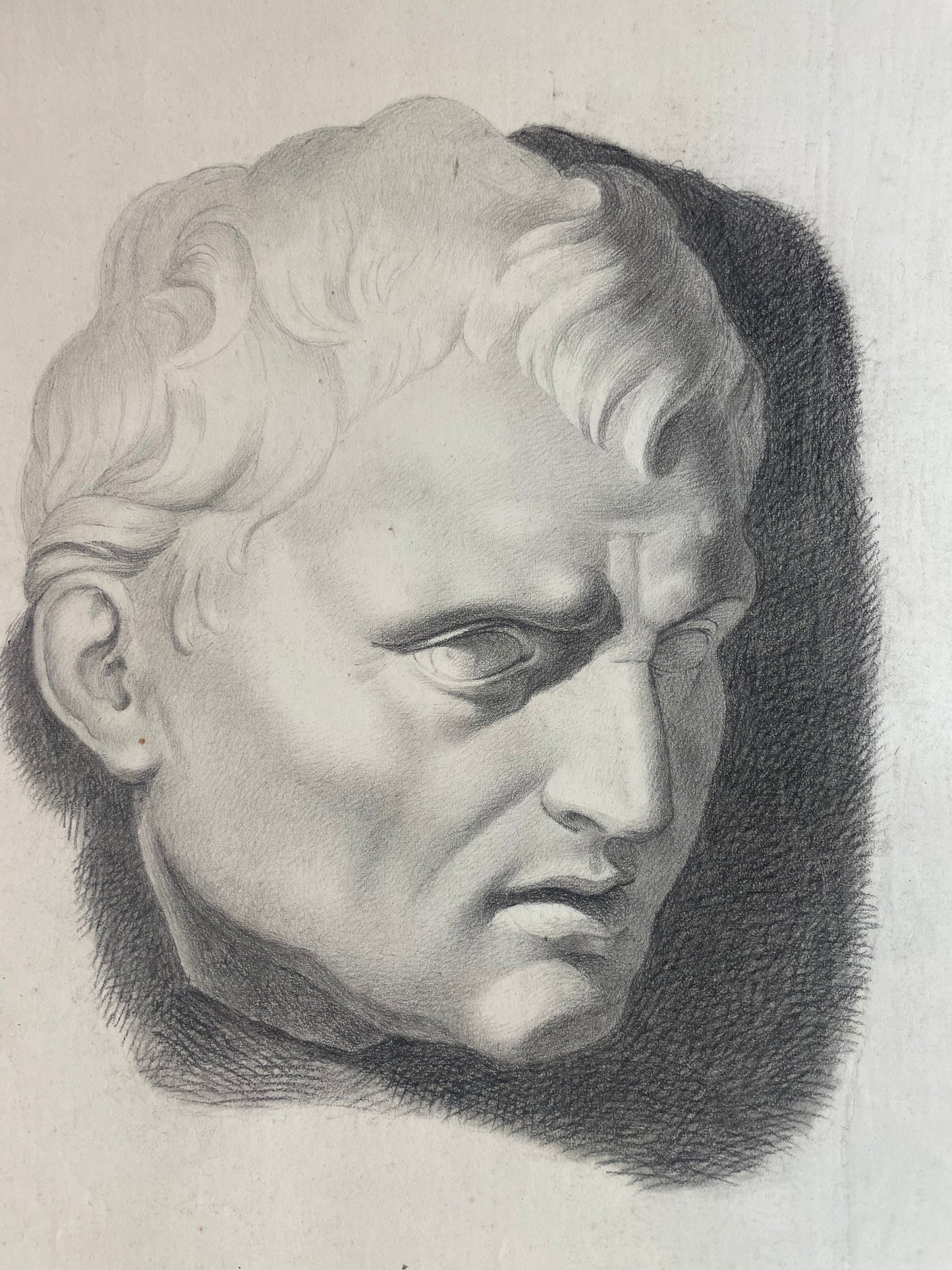 Academic Study of the Roman Bust, Tuscan School, 44 × 34 cm