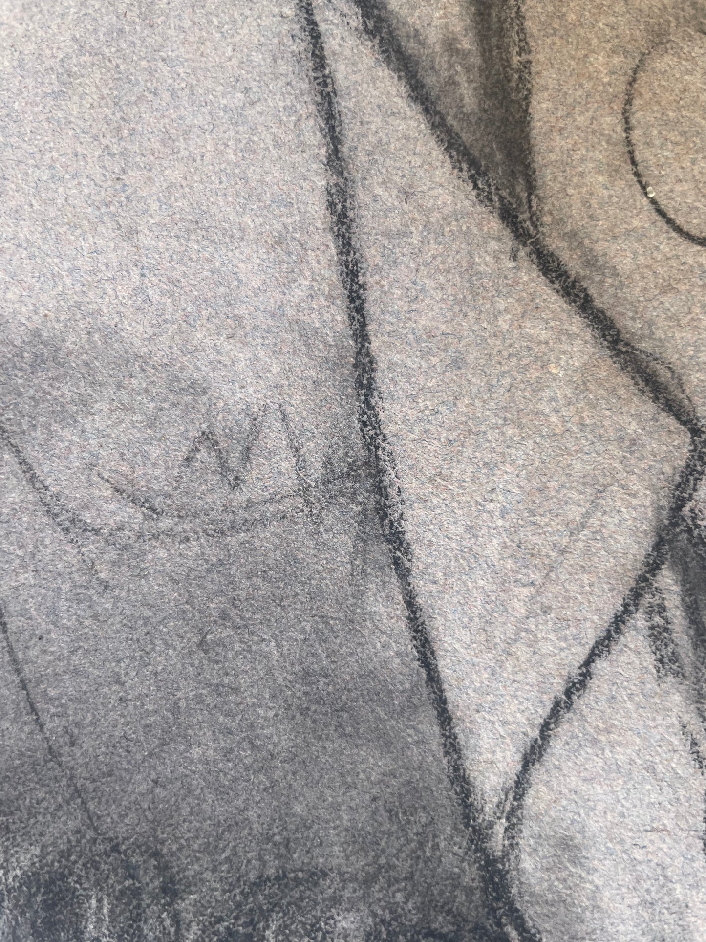 Ritratto di un uomo con la barba di epoca Risorgimentale, metà del XIX secolo.