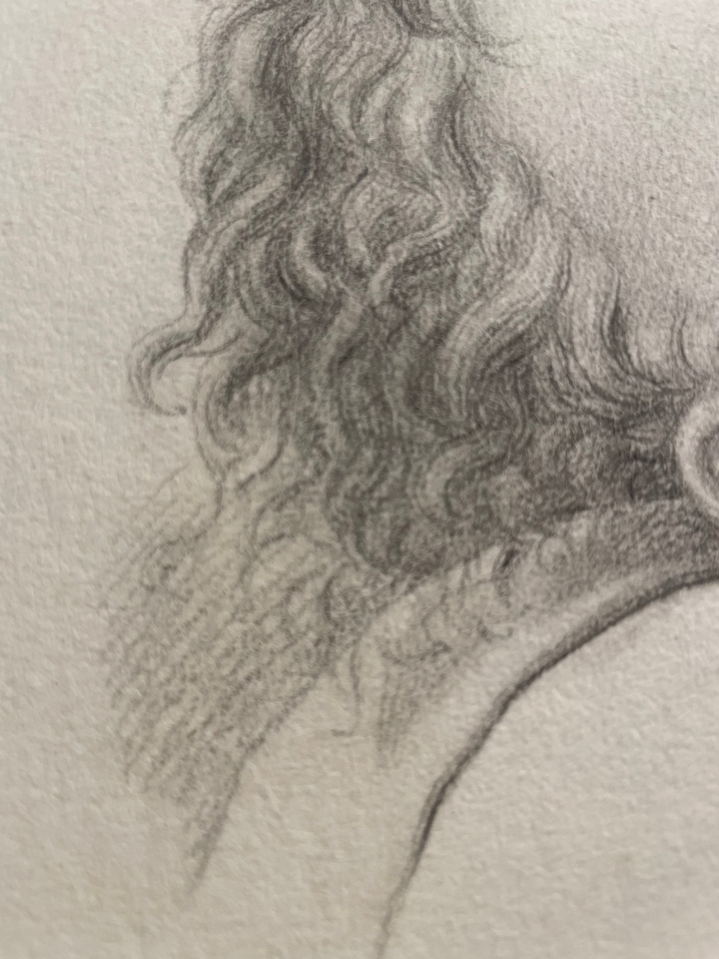 La testa di un angioletto, studio accademico. 
Scuola fiorentina, fine XVIII – inizio XIX secolo.