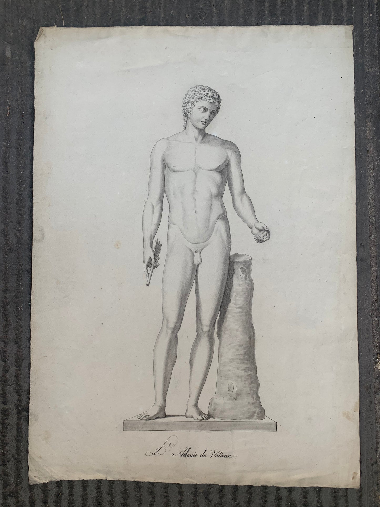 Italian Academic Drawing of the 19th Century: Adonis of the Vatican