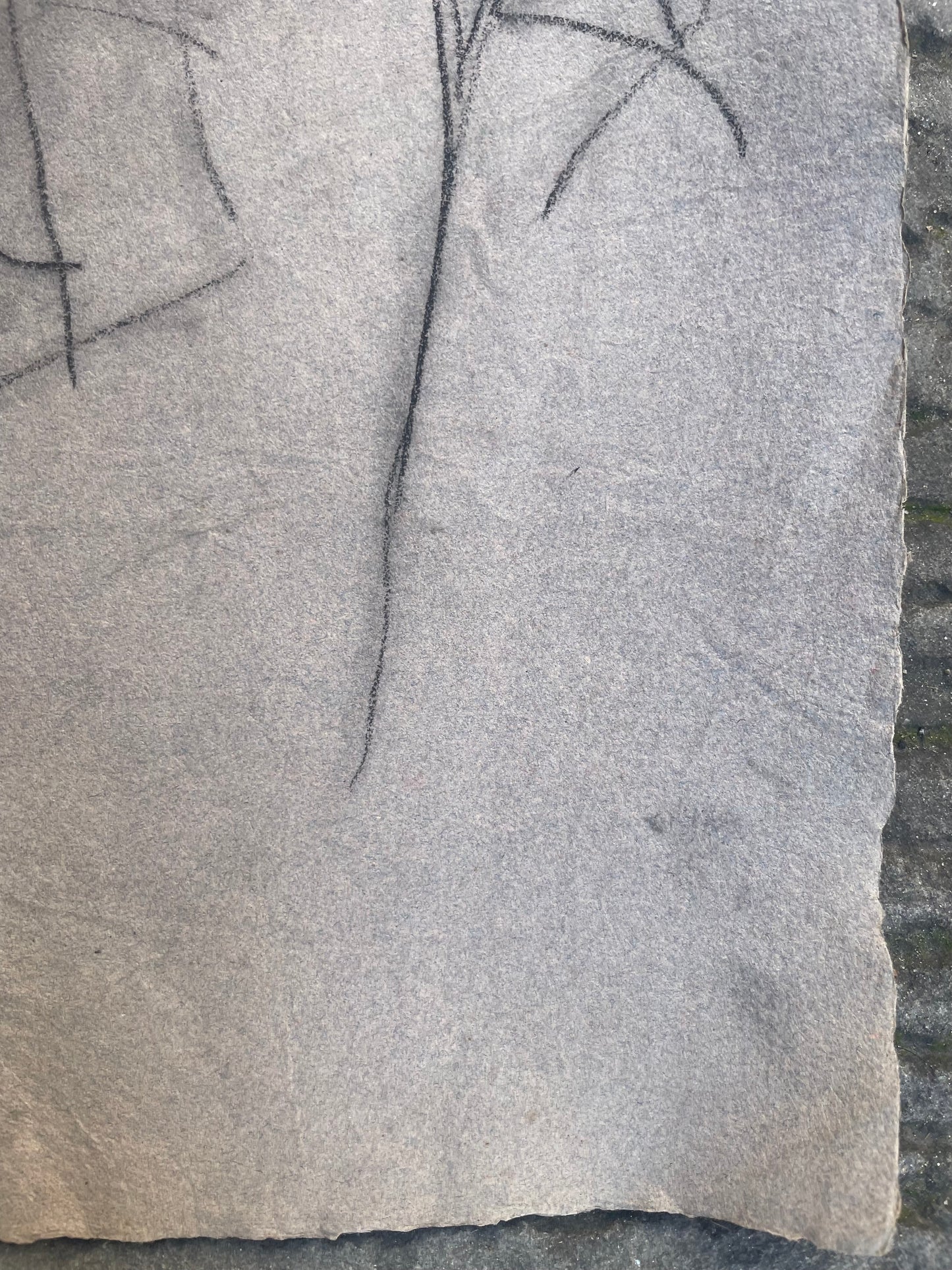 Ritratto di un uomo con la barba di epoca Risorgimentale, metà del XIX secolo.