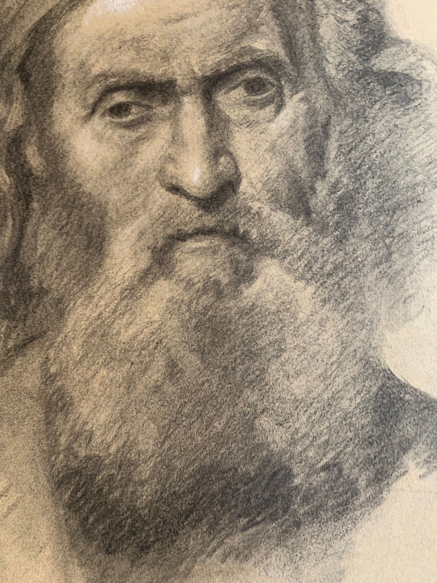 Study for the Head of an Apostle or Saint. Enrico Reffo (1831-1917), studio