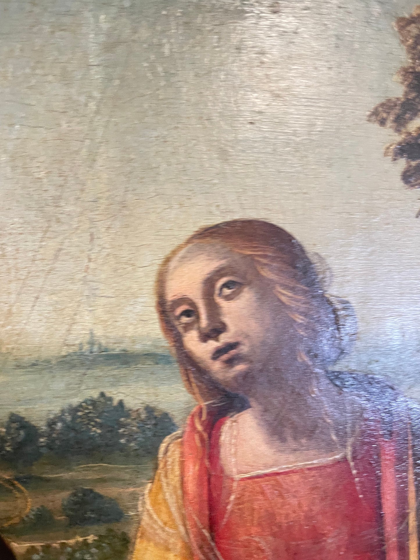 Compianto sul Cristo morto. Scuola italiana. Inizio XVI secolo.