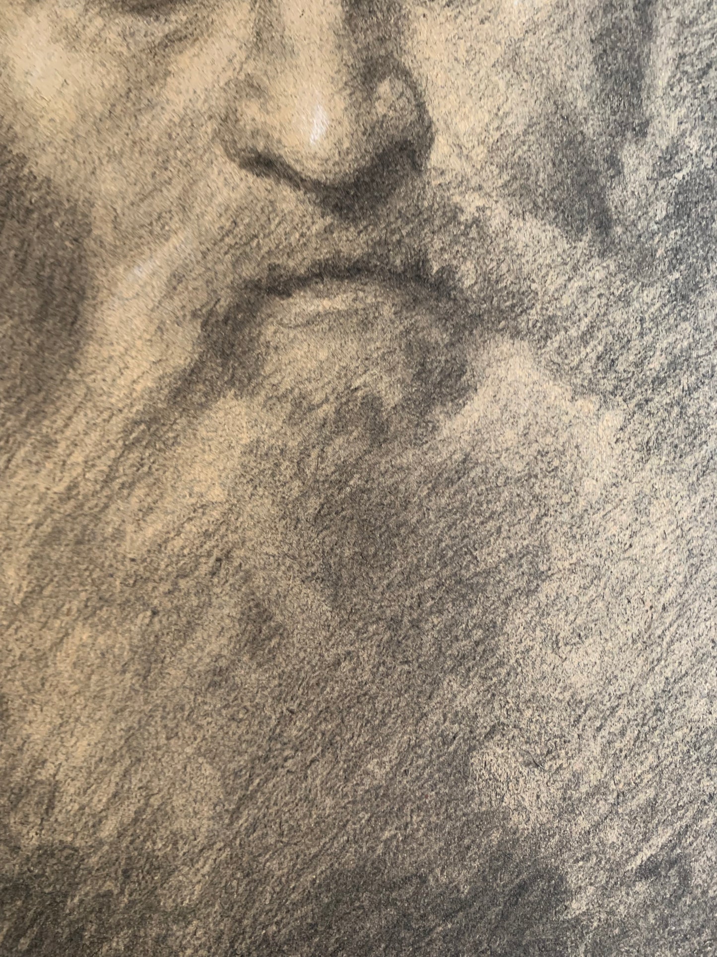 Study for the Head of an Apostle or Saint. Enrico Reffo (1831-1917), studio