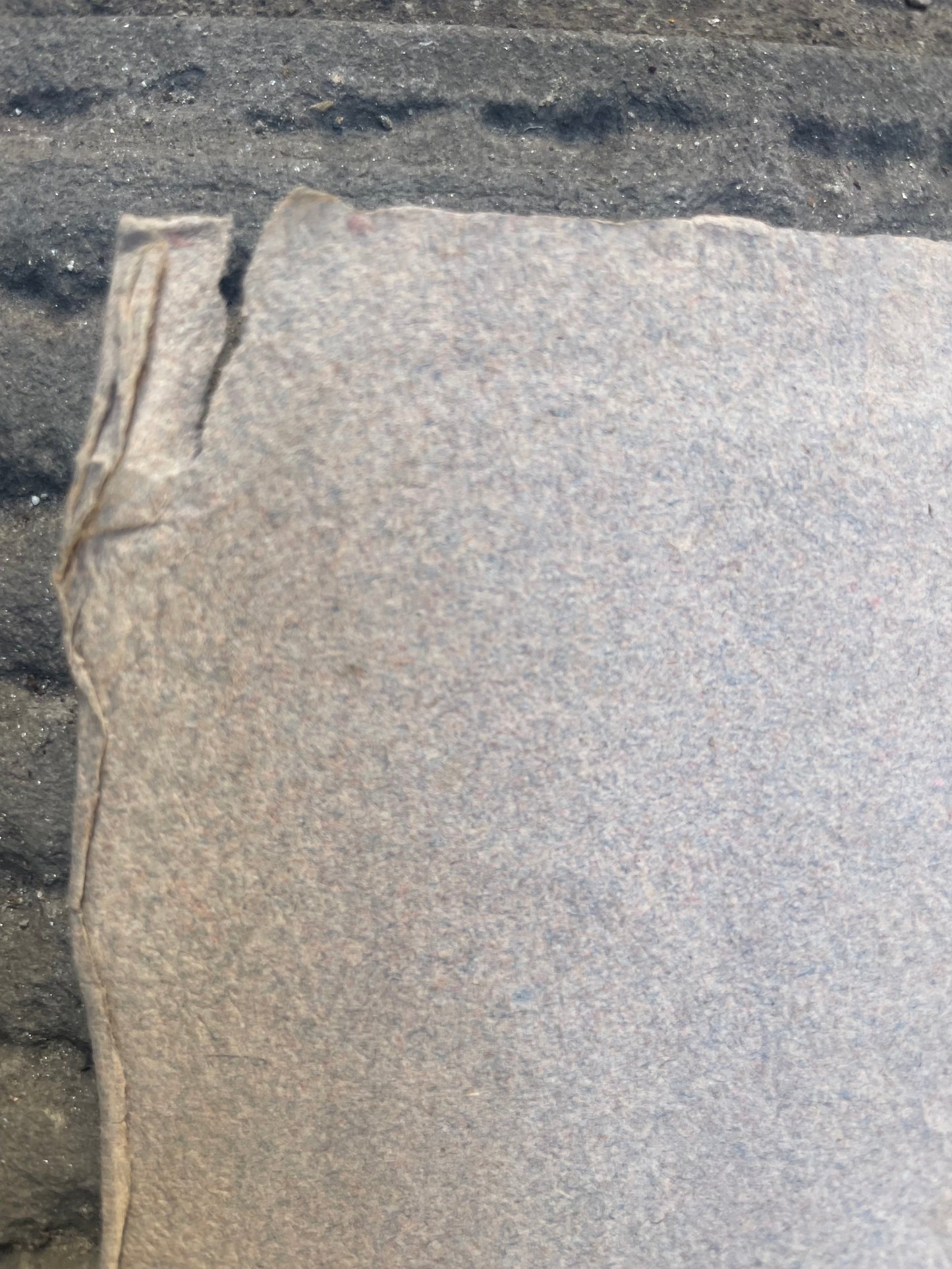 Ritratto di un uomo con la barba di epoca Risorgimentale, metà del XIX secolo.