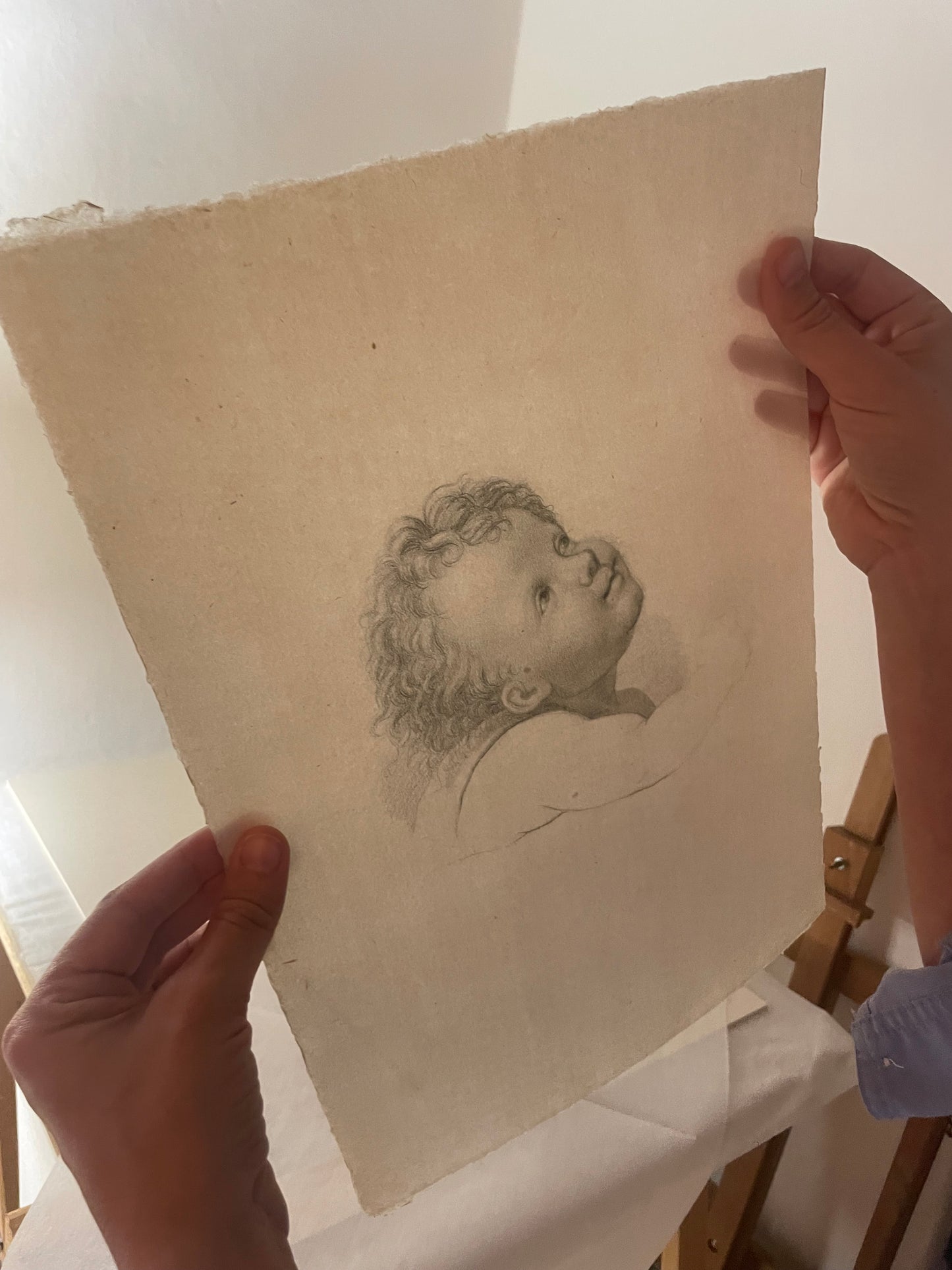 La testa di un angioletto, studio accademico. 
Scuola fiorentina, fine XVIII – inizio XIX secolo.