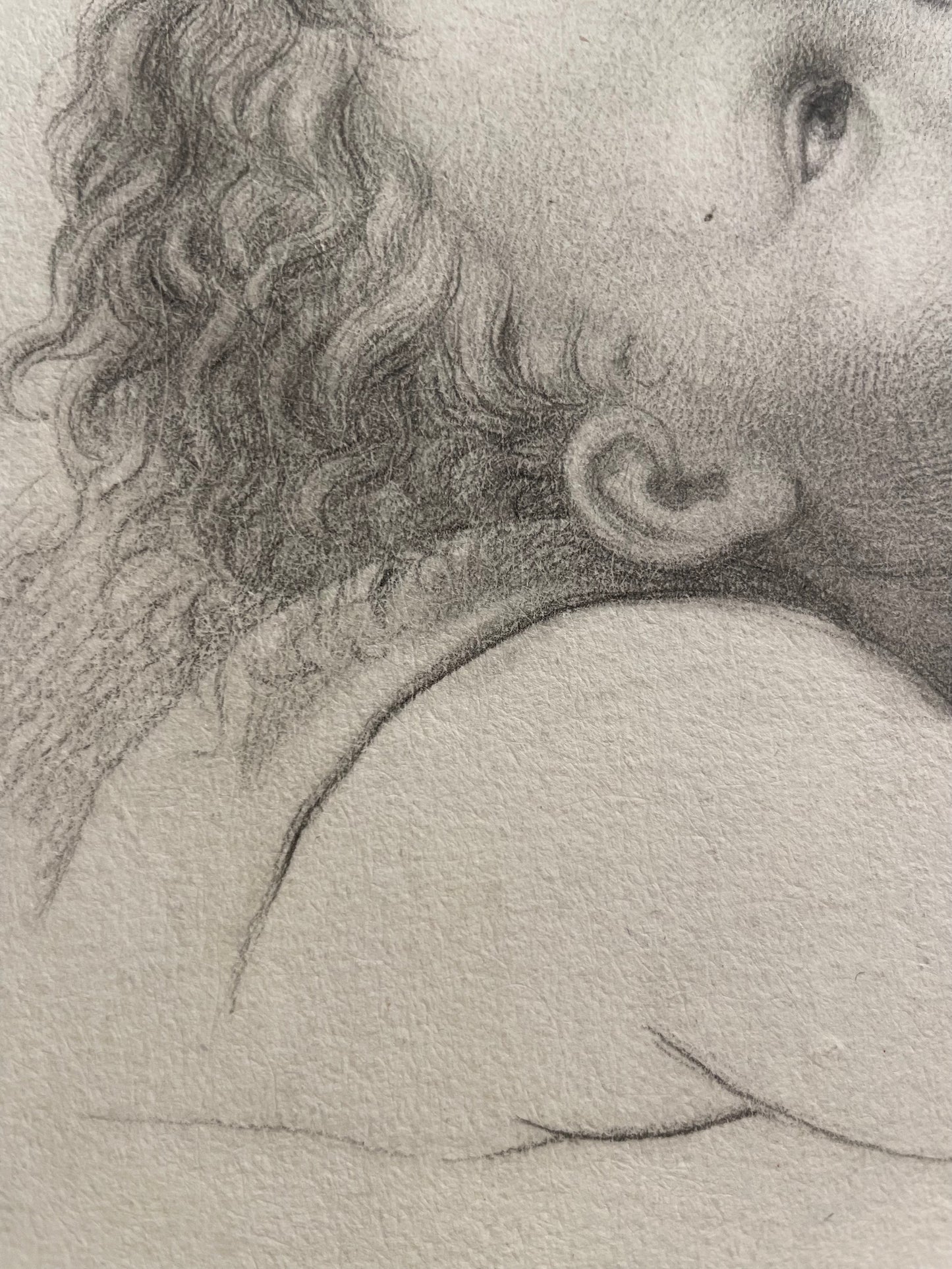 La testa di un angioletto, studio accademico. 
Scuola fiorentina, fine XVIII – inizio XIX secolo.
