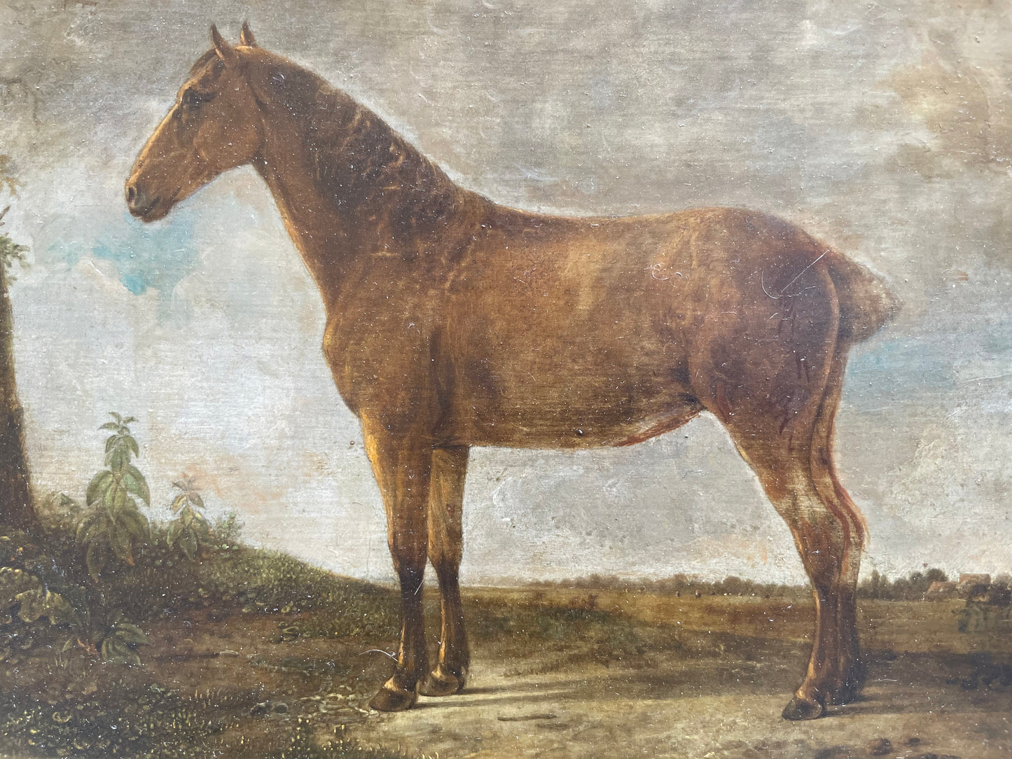 Cavallo bruno davanti a un villaggio, scuola olandese del XVIII secolo
