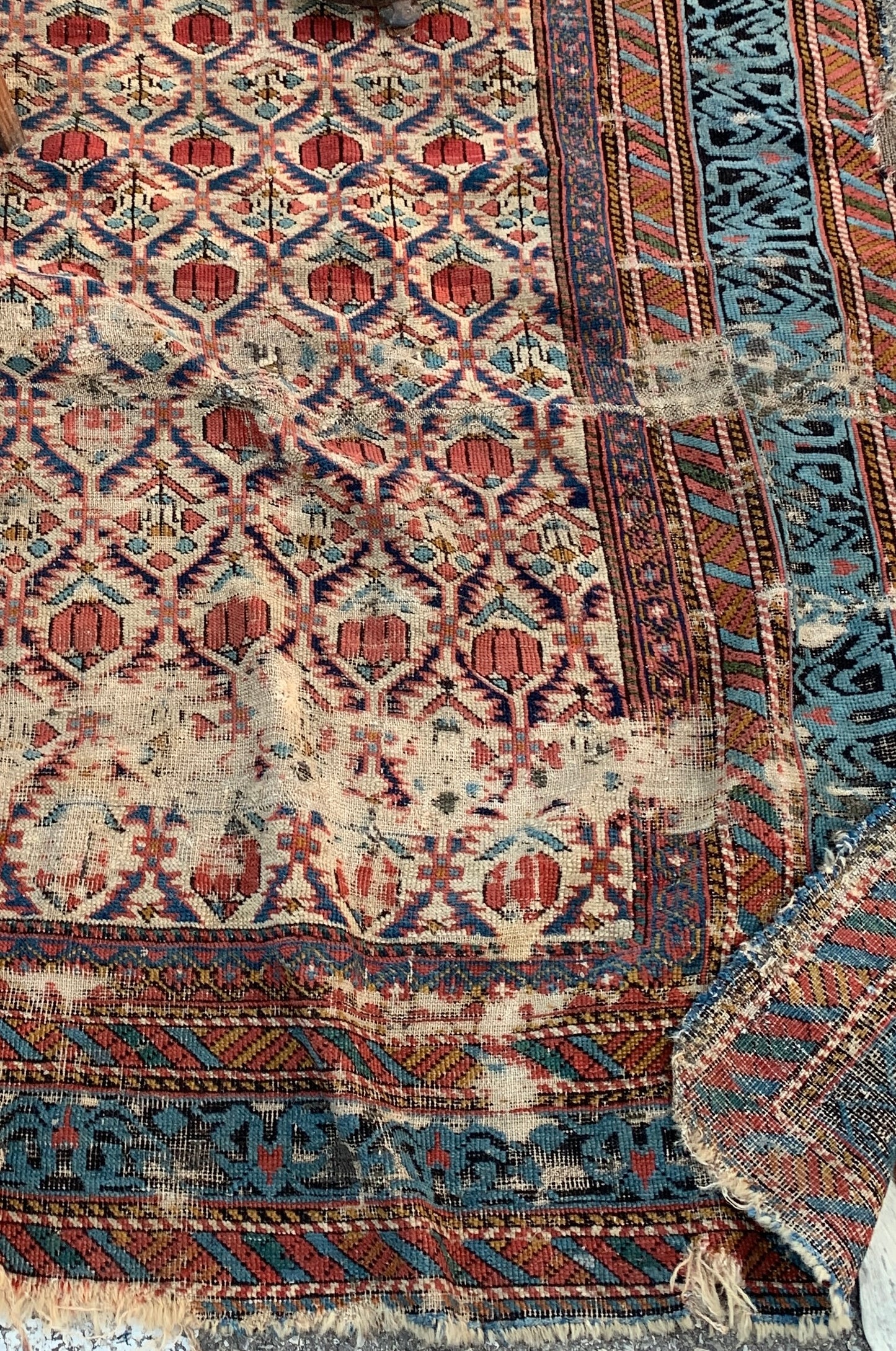 Shirvan. Mid 19th Century. Caucasian Carpet With Beautiful Border. To Be Restored.