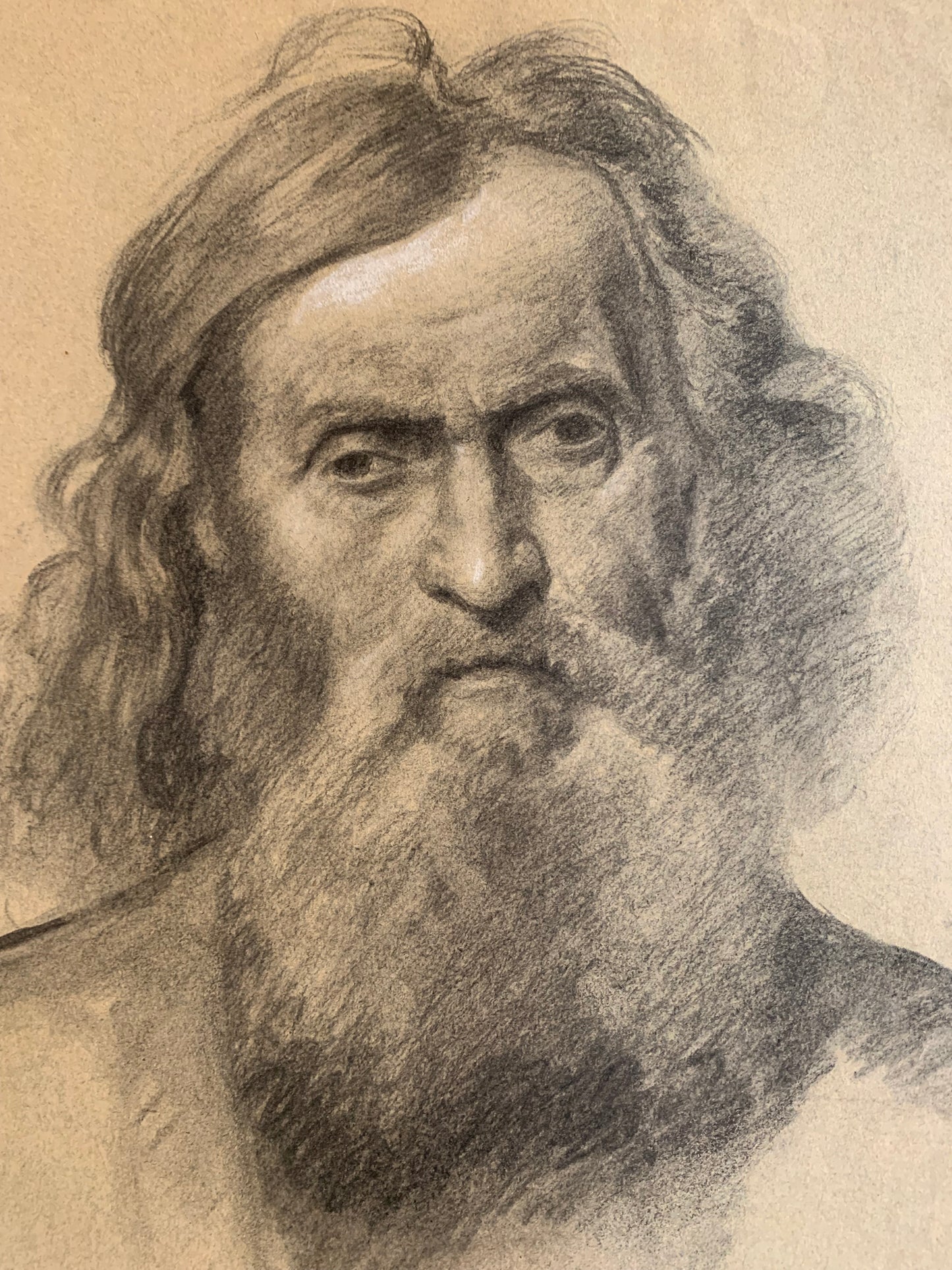 Study for the Head of an Apostle or Saint. Enrico Reffo (1831-1917), studio