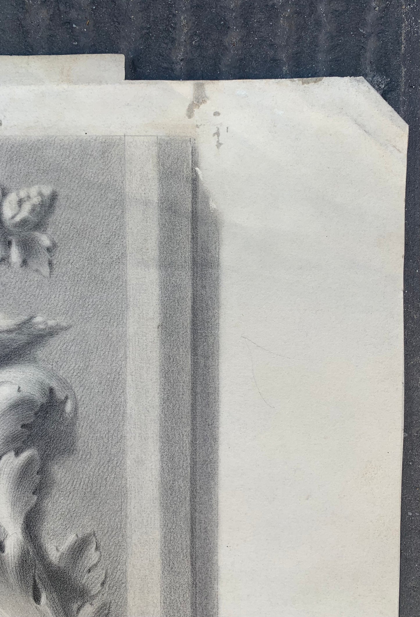 Academic Study of a Plaster Frieze: Grotesques, Dragons, and Birds, 1864