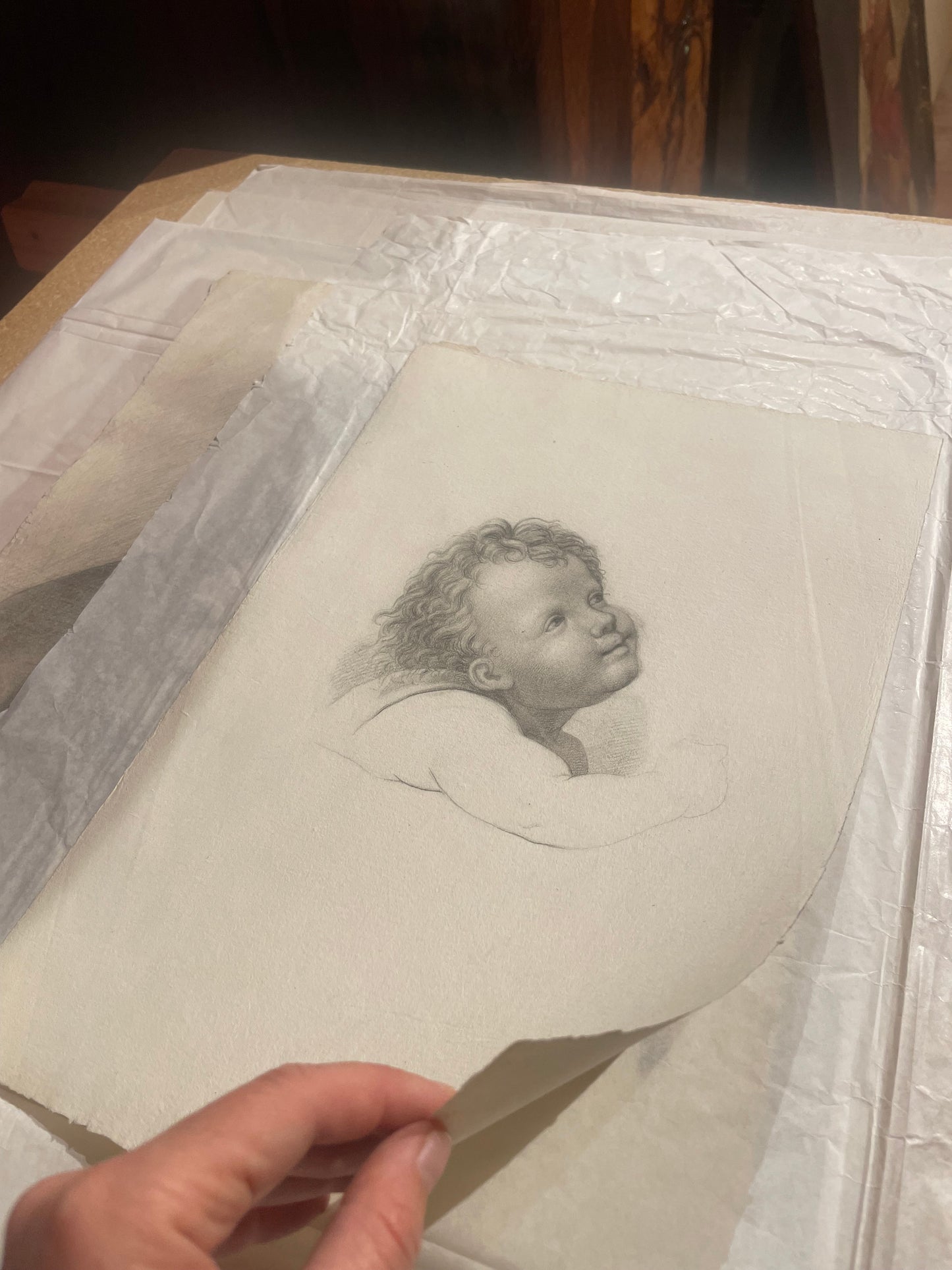 La testa di un angioletto, studio accademico. 
Scuola fiorentina, fine XVIII – inizio XIX secolo.