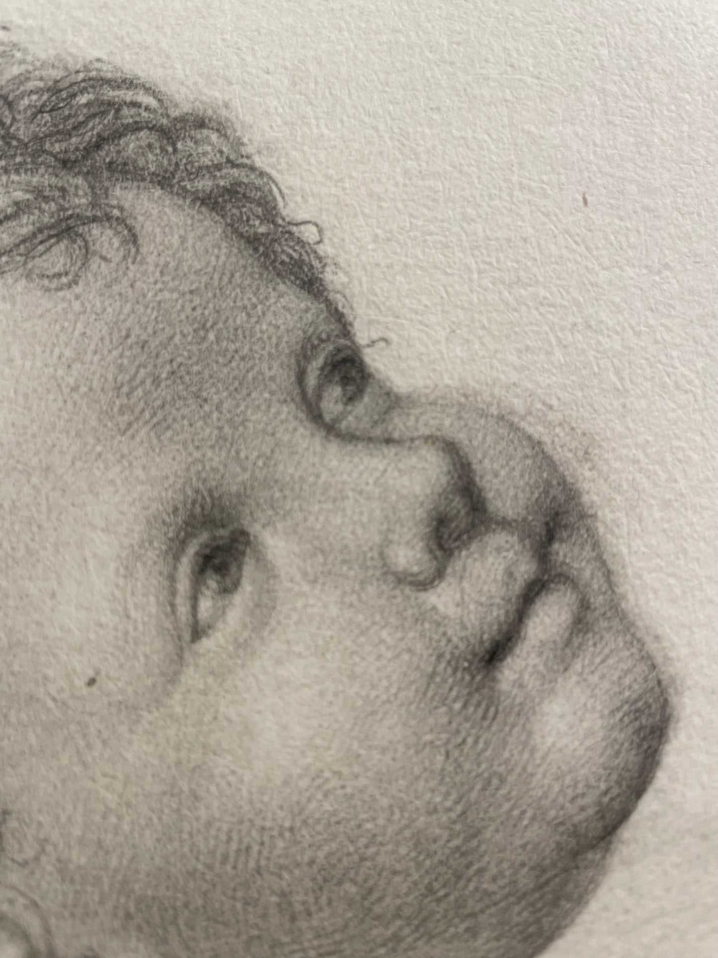 La testa di un angioletto, studio accademico. 
Scuola fiorentina, fine XVIII – inizio XIX secolo.