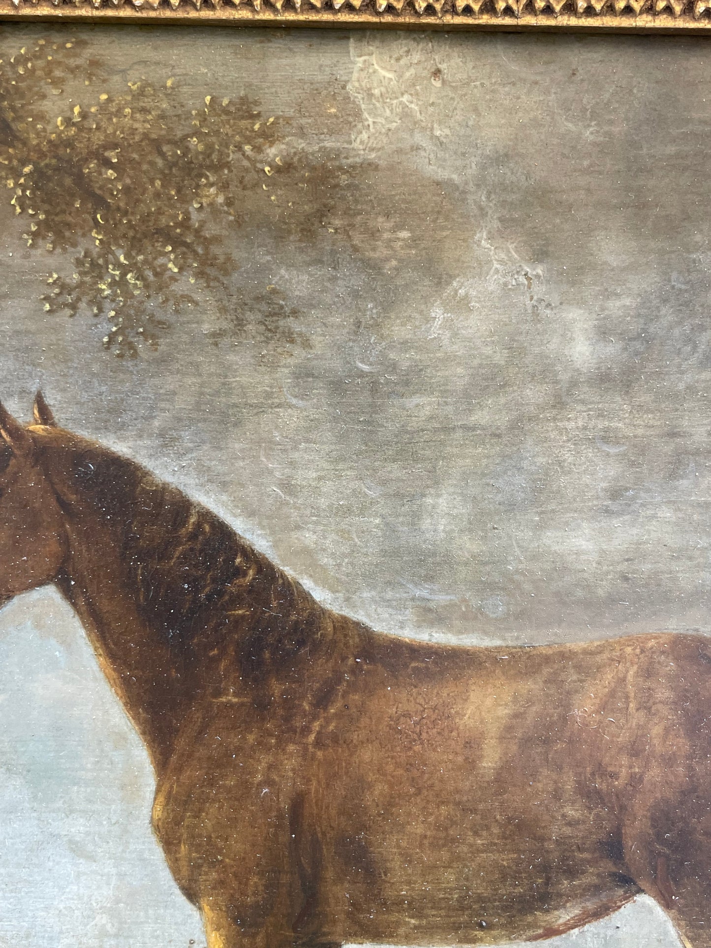 Cavallo bruno davanti a un villaggio, scuola olandese del XVIII secolo