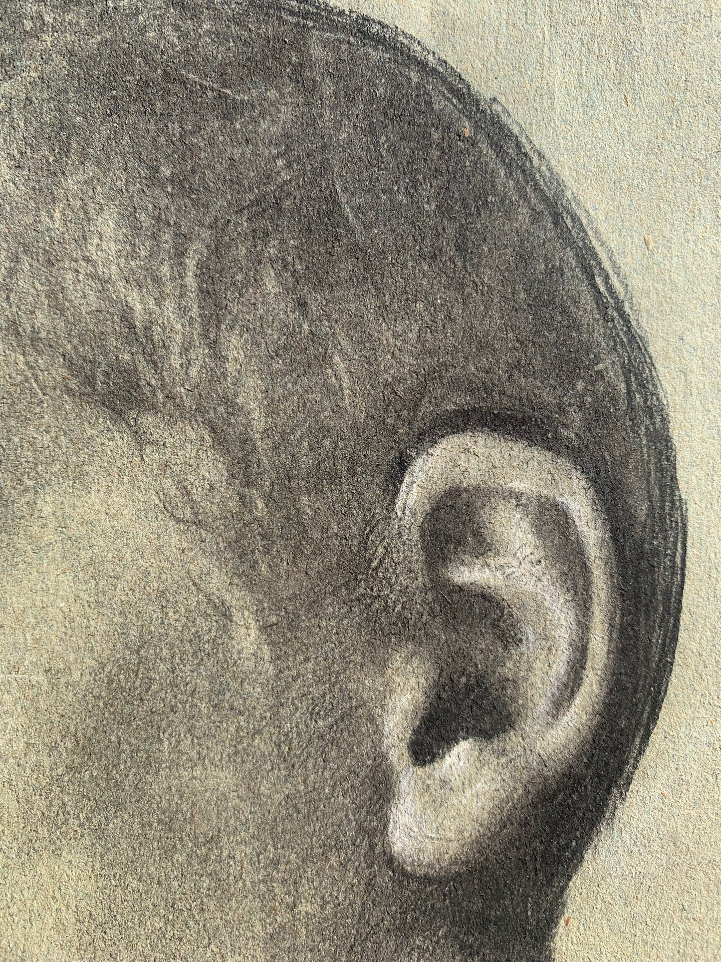 Study for the Head of a Young Saint. Studio of Enrico Reffo (1831-1917)